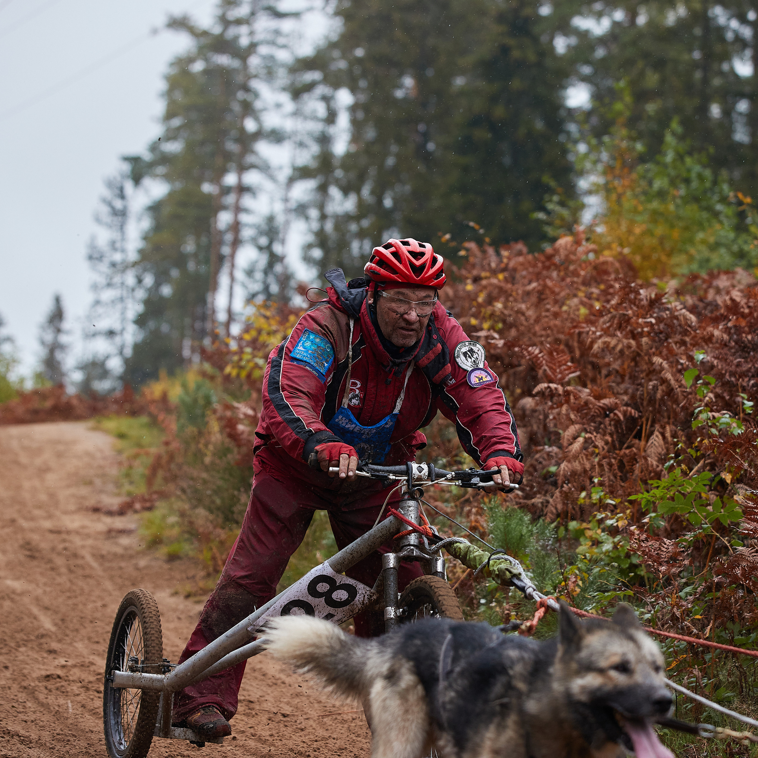 ЧЕМПИОНАТ РОССИИ РКФ 25–26 сентября 2021 г. ФОТОГРАФ-АНИМАЛИСТ l LANA POLYAKOVA