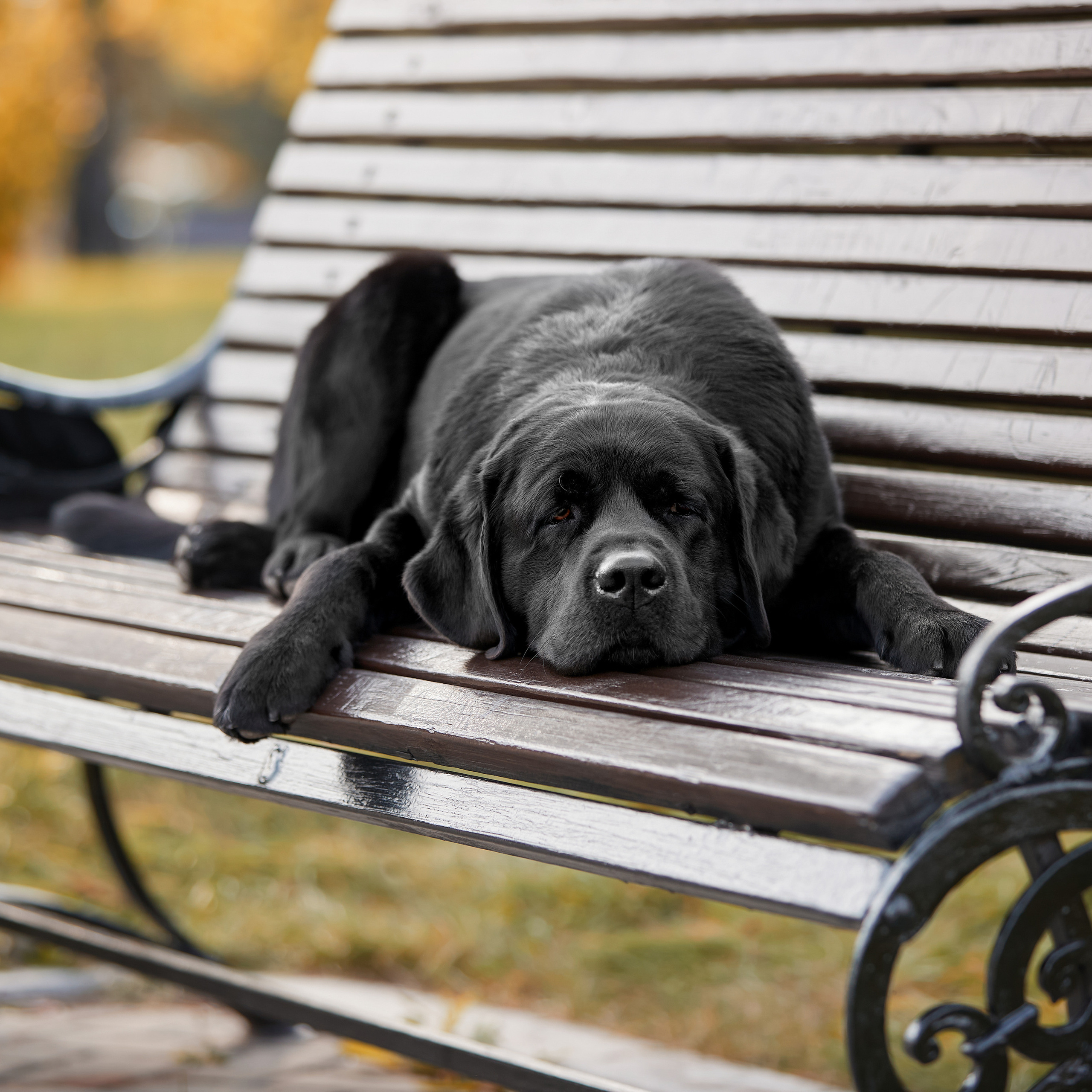 Путешествие к Байкалу. Фотосессии в Иркутске. ФОТОГРАФ-АНИМАЛИСТ l LANA POLYAKOVA
