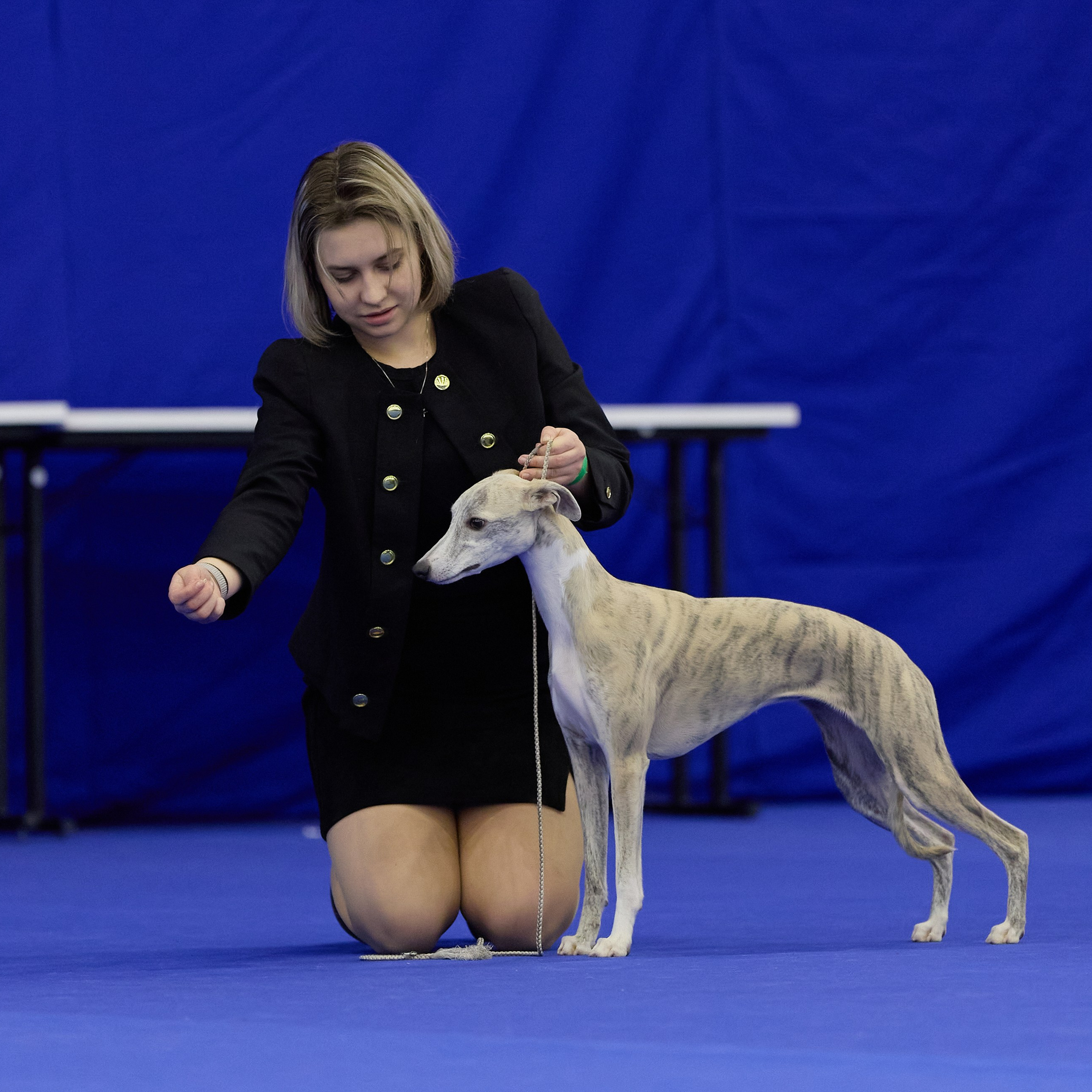 ВЫСТАВКА СОБАК С ОСОБЫМ СТАТУСОМ «НЕВСКИЙ ПОБЕДИТЕЛЬ» 12-13-14.12.2025. ФОТОГРАФ-АНИМАЛИСТ l LANA POLYAKOVA