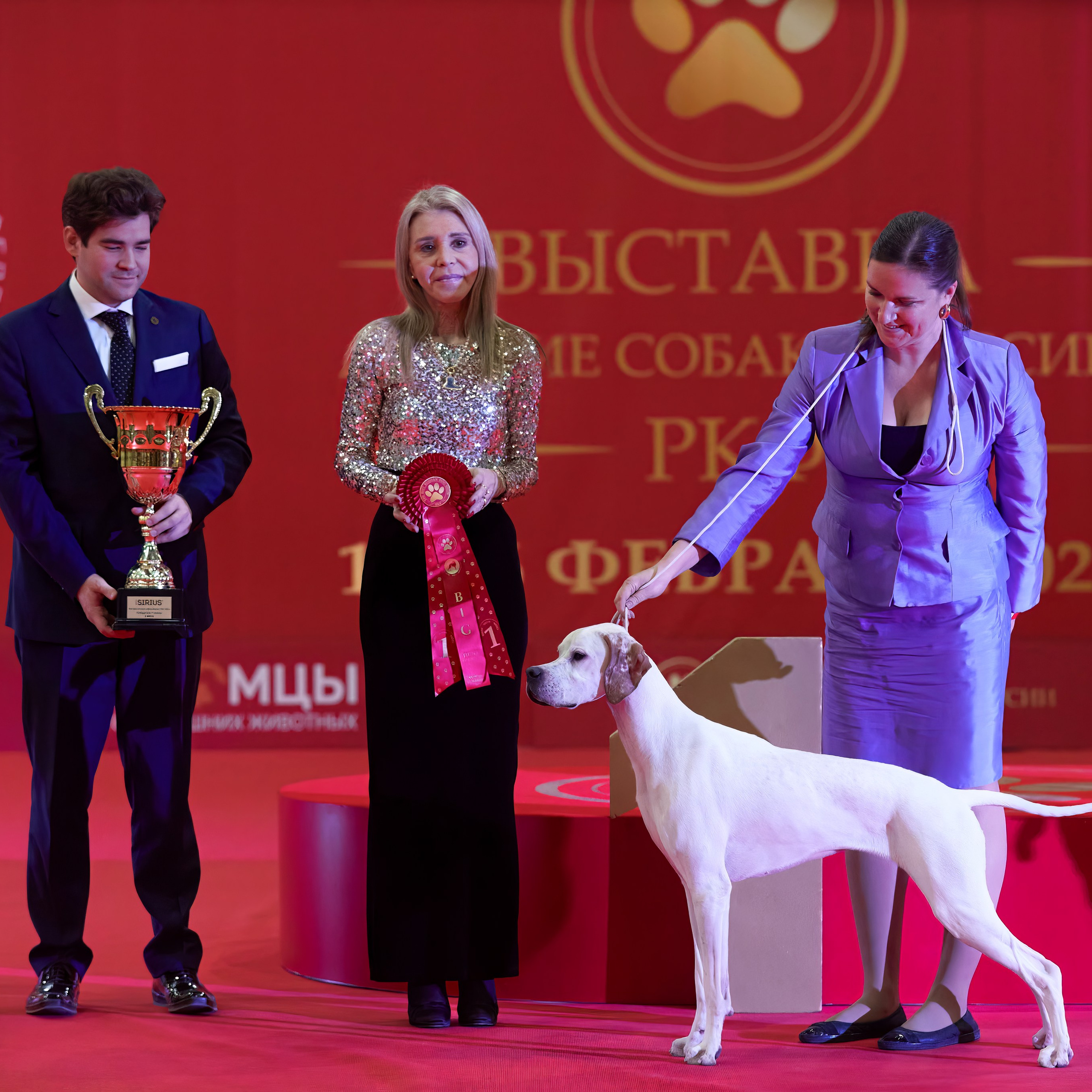 Шоу чемпионов «ЛУЧШИЕ СОБАКИ РОССИИ». ФОТОГРАФ-АНИМАЛИСТ l LANA POLYAKOVA
