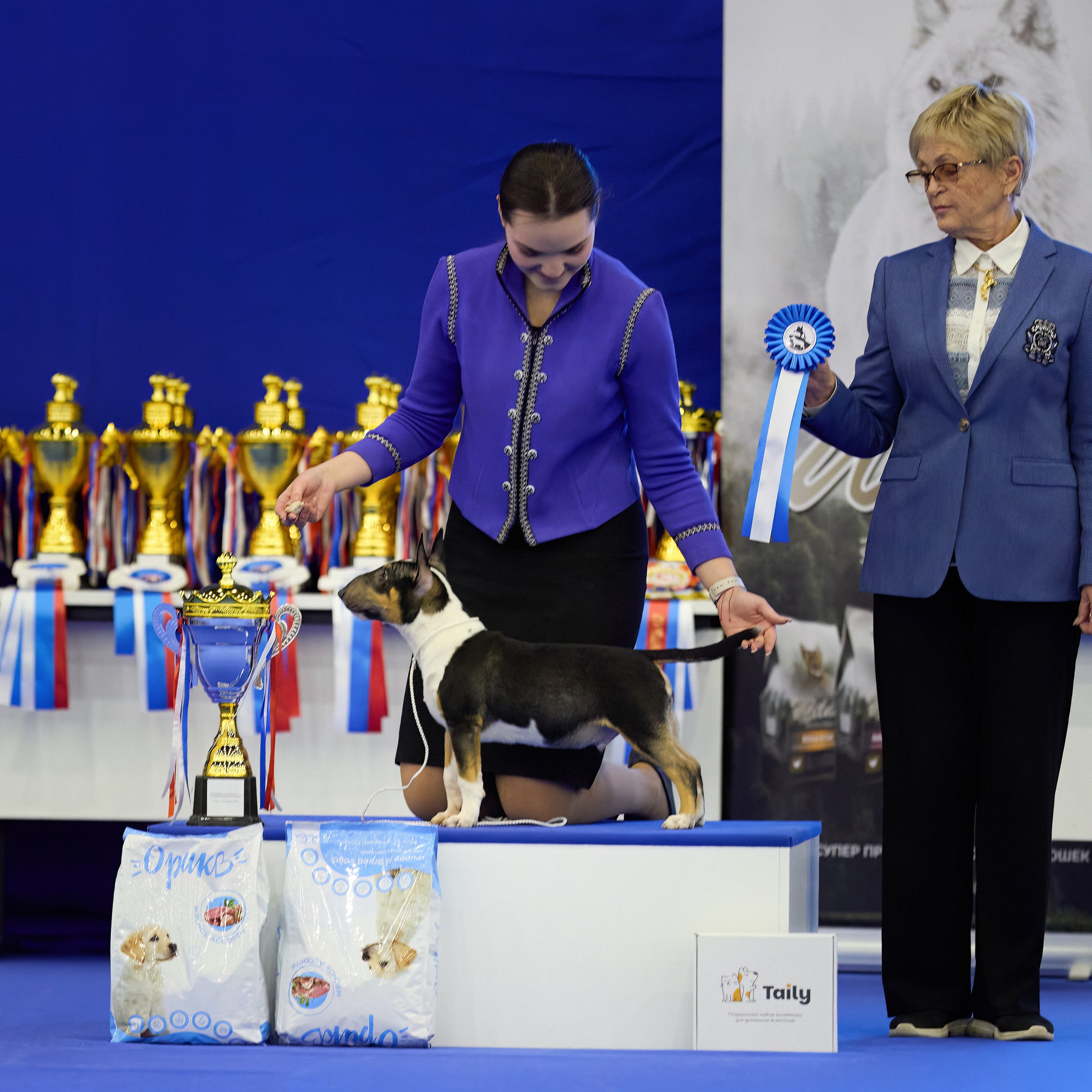 ВЫСТАВКА СОБАК С ОСОБЫМ СТАТУСОМ «НЕВСКИЙ ПОБЕДИТЕЛЬ» 12-13-14.12.2025. ФОТОГРАФ-АНИМАЛИСТ l LANA POLYAKOVA