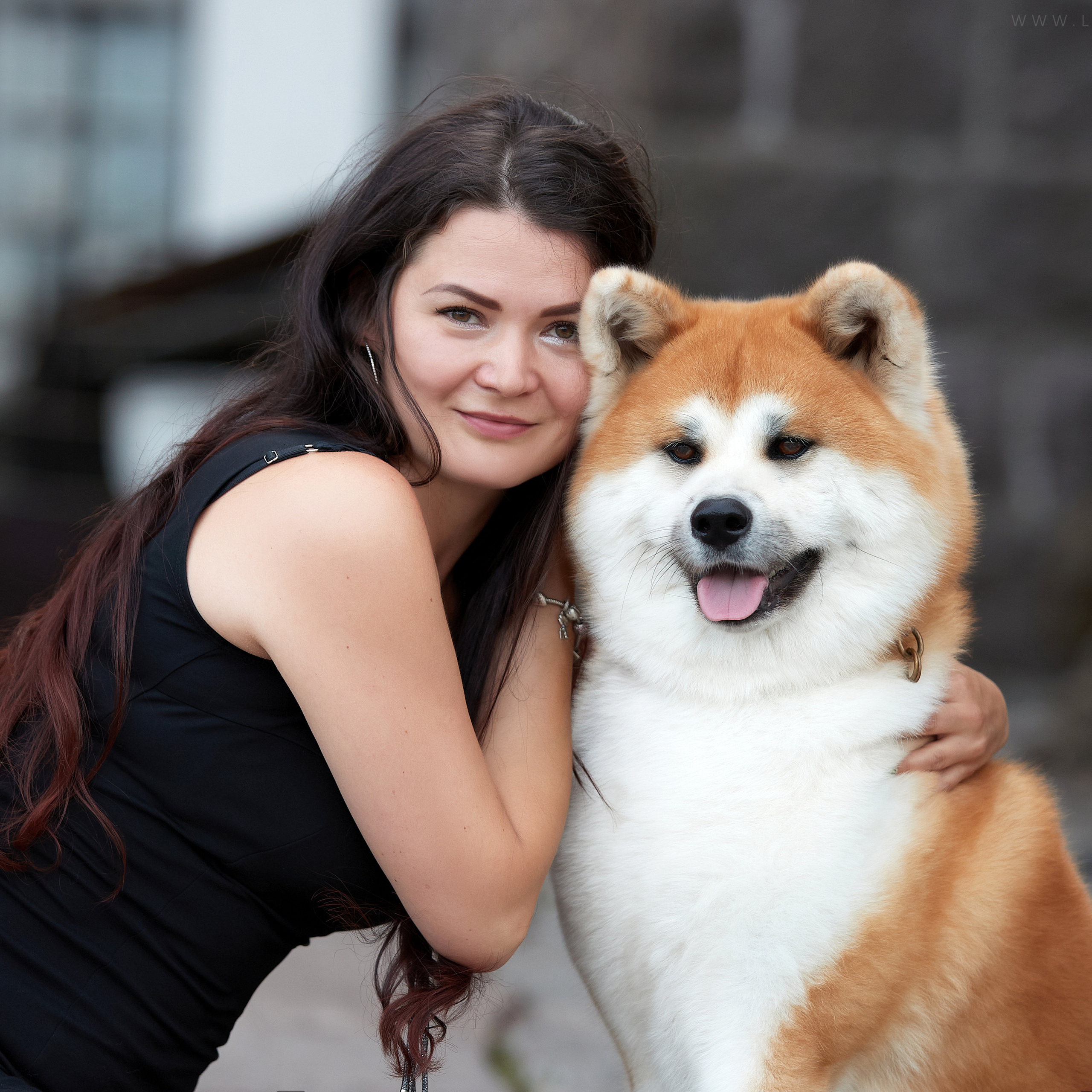 Фото-прогулка в Выборге с акитой Зуми и Ольгой. ФОТОГРАФ-АНИМАЛИСТ l LANA POLYAKOVA