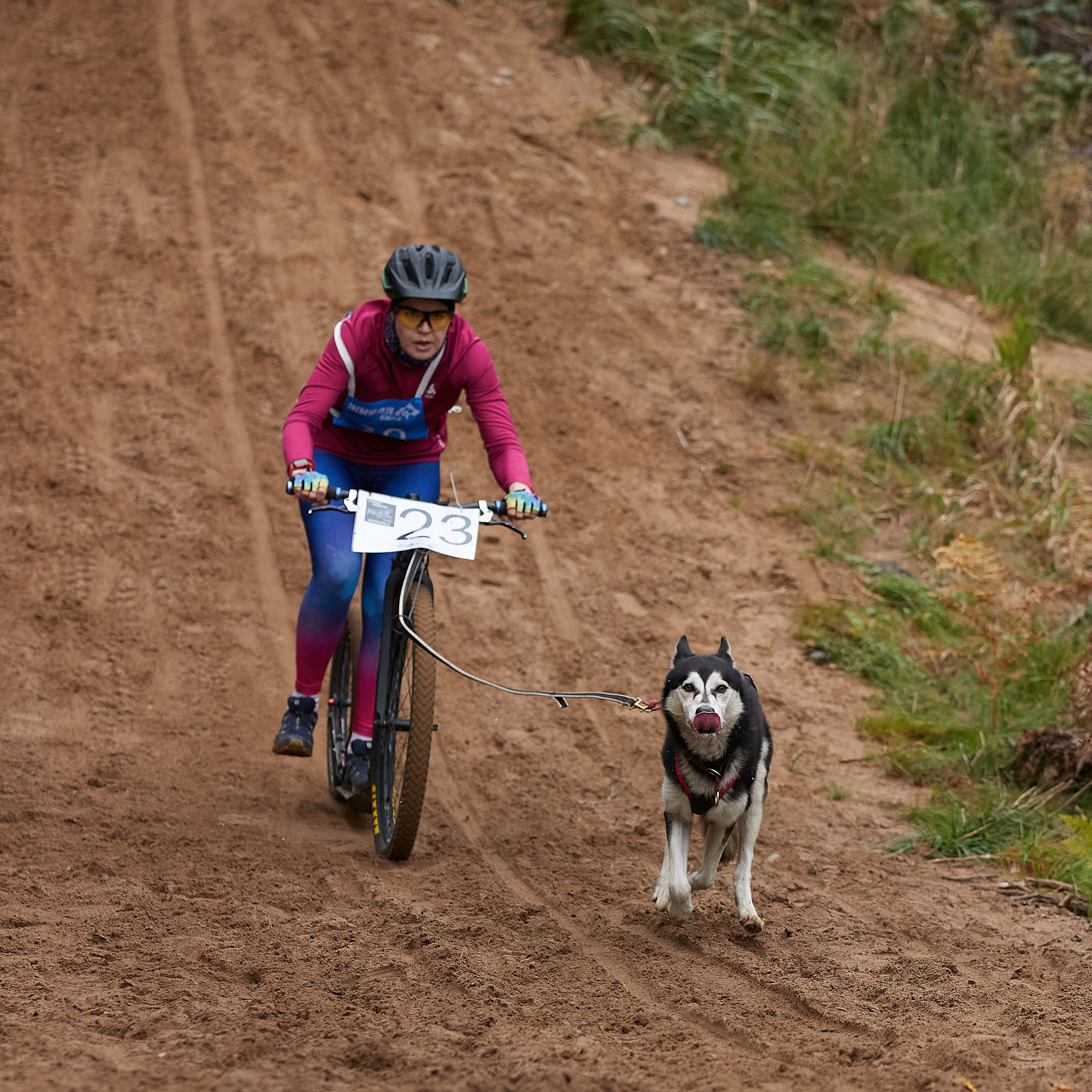ЧЕМПИОНАТ РОССИИ РКФ 25–26 сентября 2021 г. ФОТОГРАФ-АНИМАЛИСТ l LANA POLYAKOVA