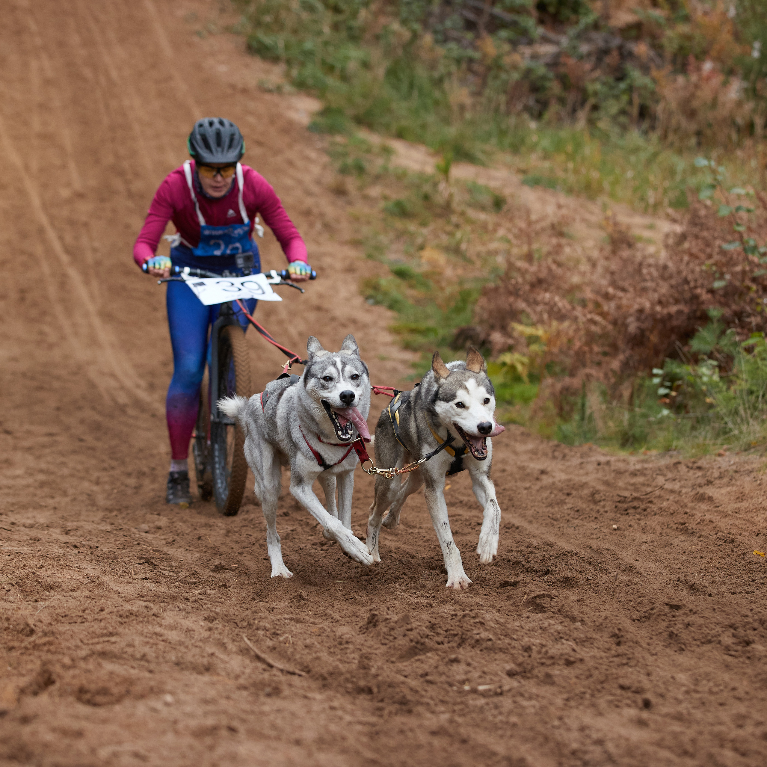 ЧЕМПИОНАТ РОССИИ РКФ 25–26 сентября 2021 г. ФОТОГРАФ-АНИМАЛИСТ l LANA POLYAKOVA