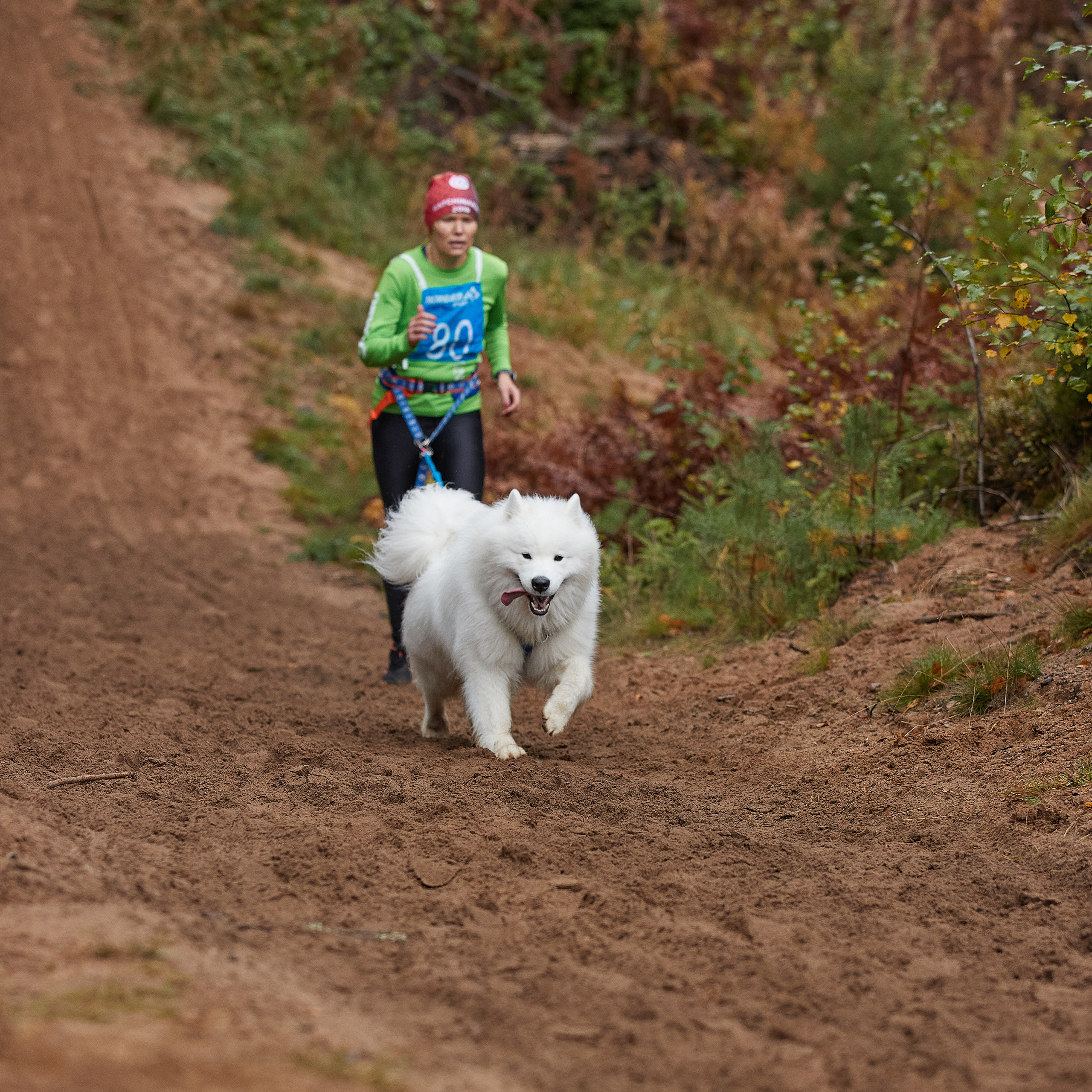 ЧЕМПИОНАТ РОССИИ РКФ 25–26 сентября 2021 г. ФОТОГРАФ-АНИМАЛИСТ l LANA POLYAKOVA
