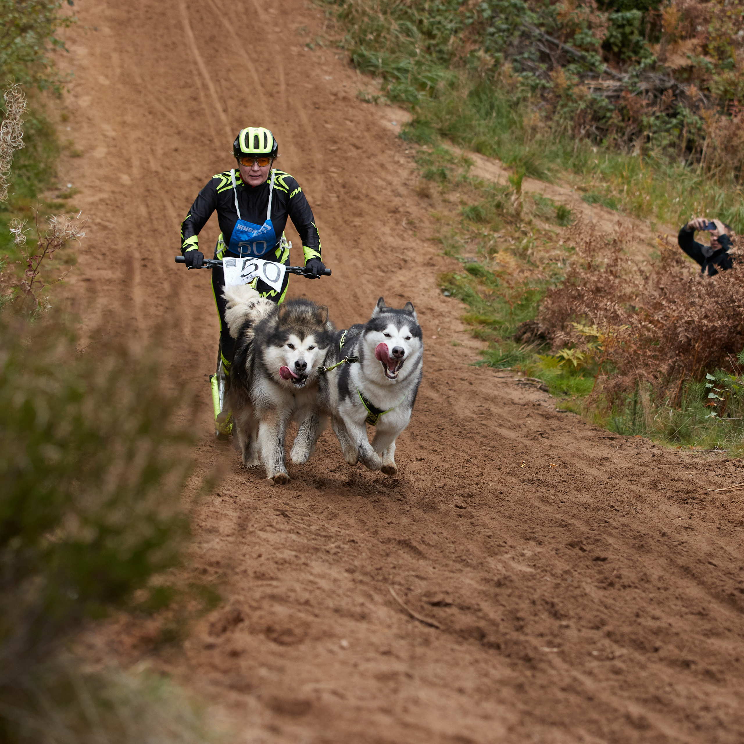 ЧЕМПИОНАТ РОССИИ РКФ 25–26 сентября 2021 г. ФОТОГРАФ-АНИМАЛИСТ l LANA POLYAKOVA