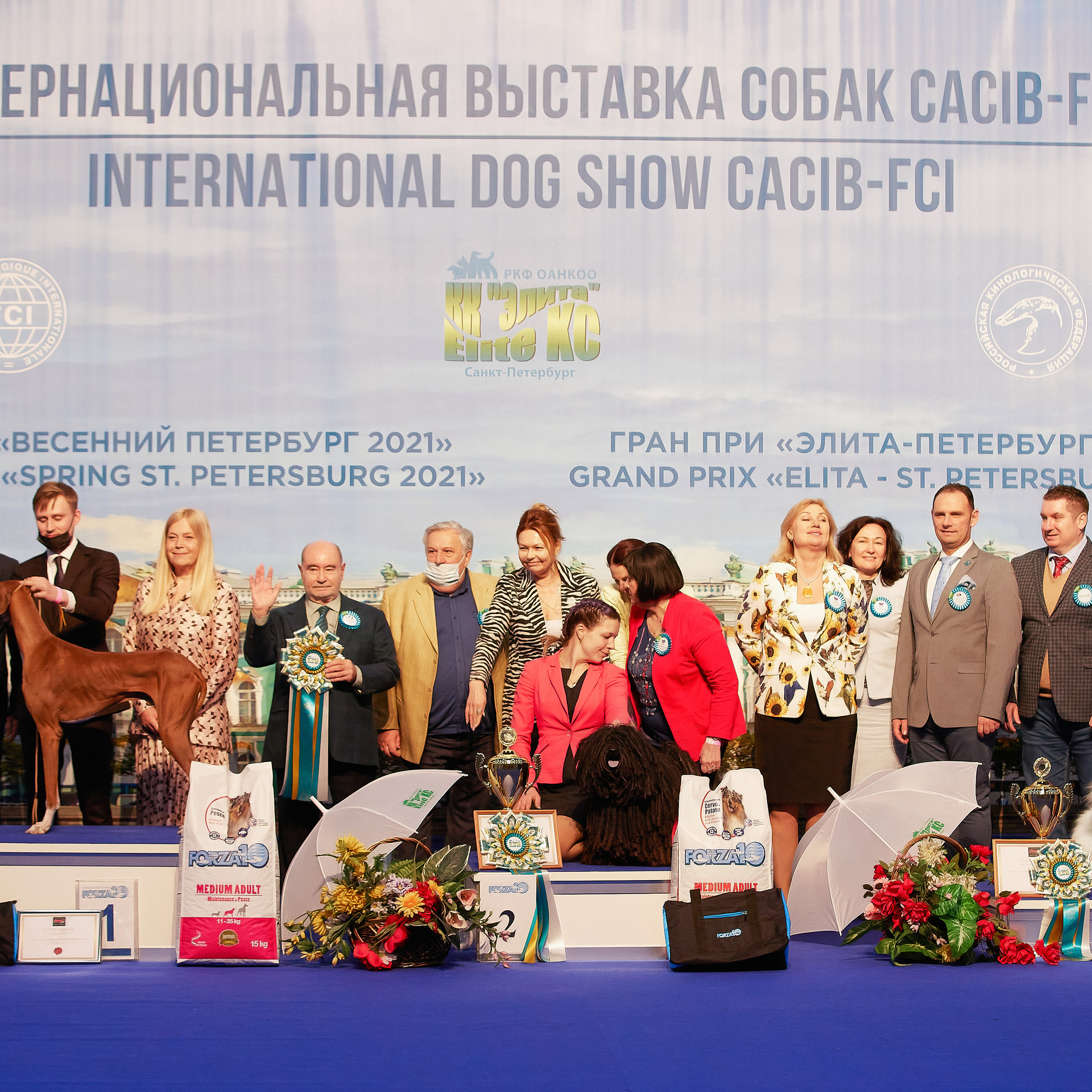 24-25.04.21 CACIB в Санкт-Петербурге. ФОТОГРАФ-АНИМАЛИСТ l LANA POLYAKOVA