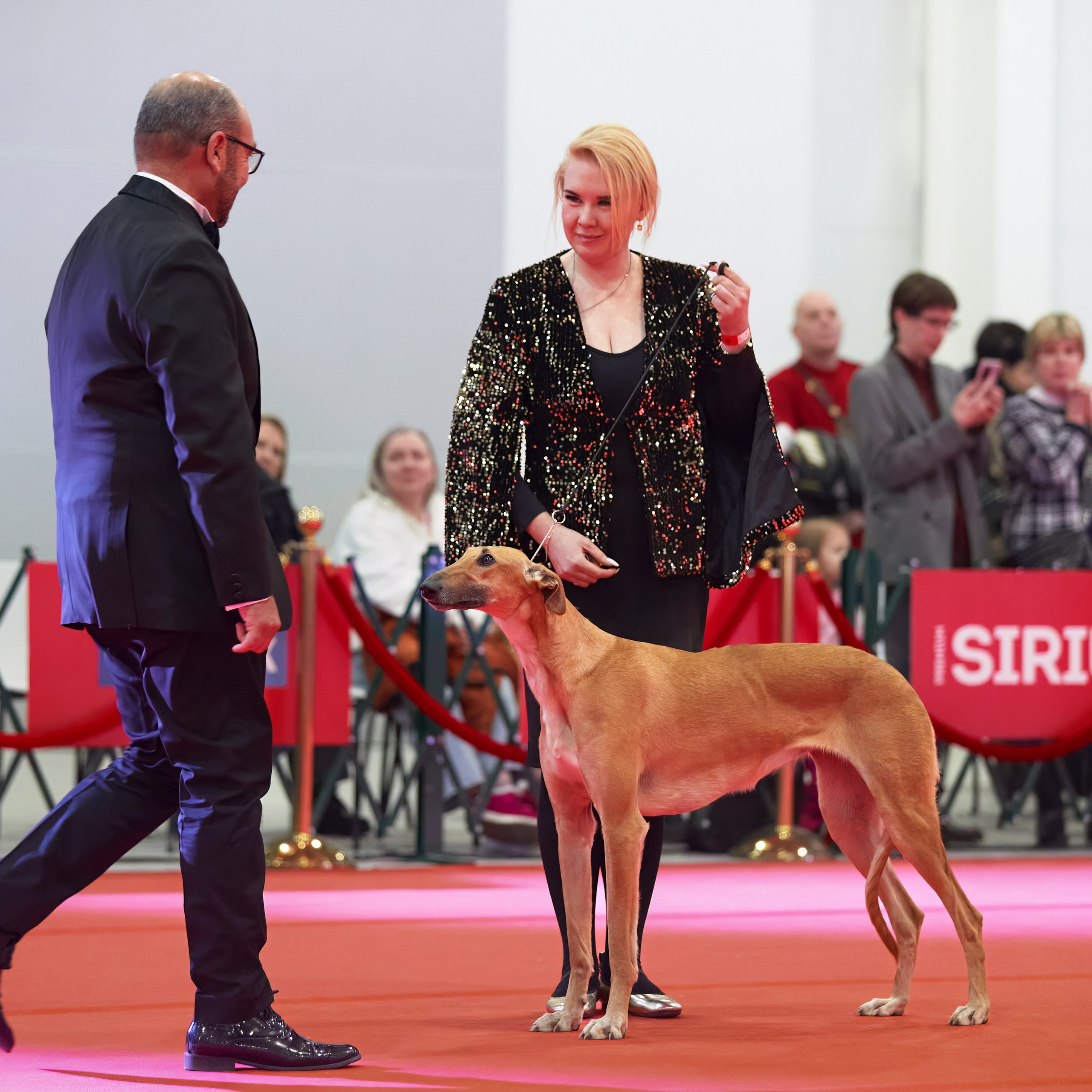 Шоу чемпионов «ЛУЧШИЕ СОБАКИ РОССИИ». ФОТОГРАФ-АНИМАЛИСТ l LANA POLYAKOVA
