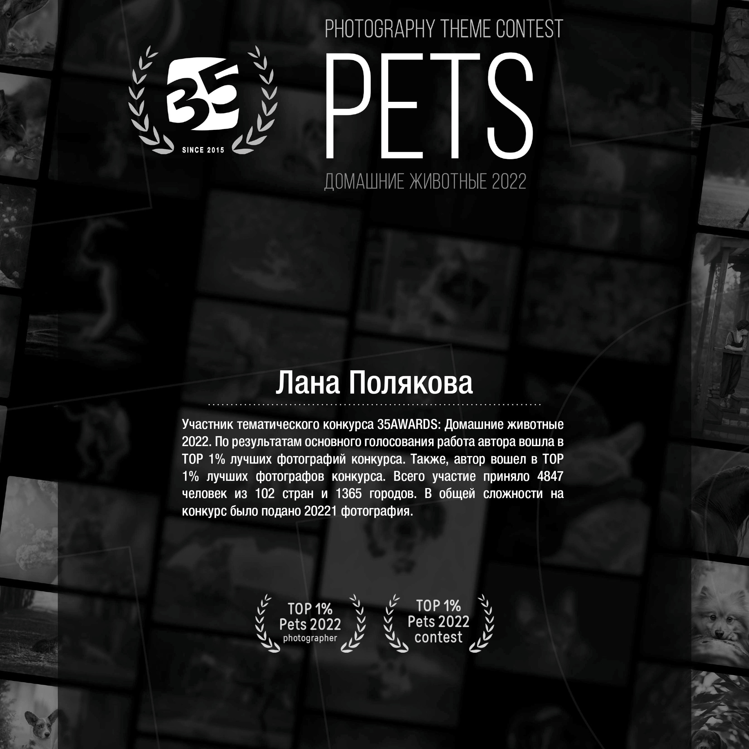 35awards — Домашние животные 2022. ФОТОГРАФ-АНИМАЛИСТ l LANA POLYAKOVA