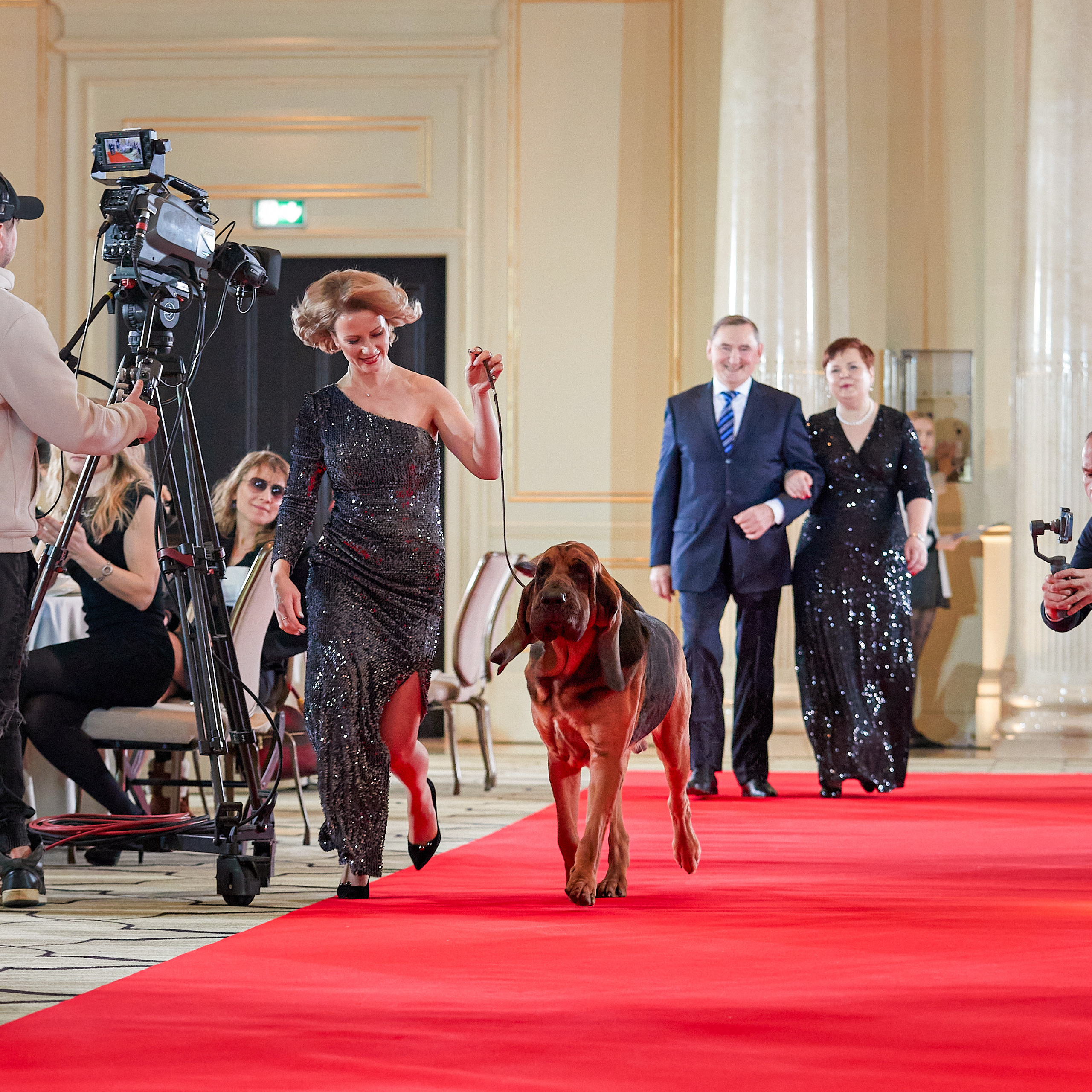 Репортаж с церемонии «BEST RUSSIAN DOG 2022». ФОТОГРАФ-АНИМАЛИСТ l LANA POLYAKOVA