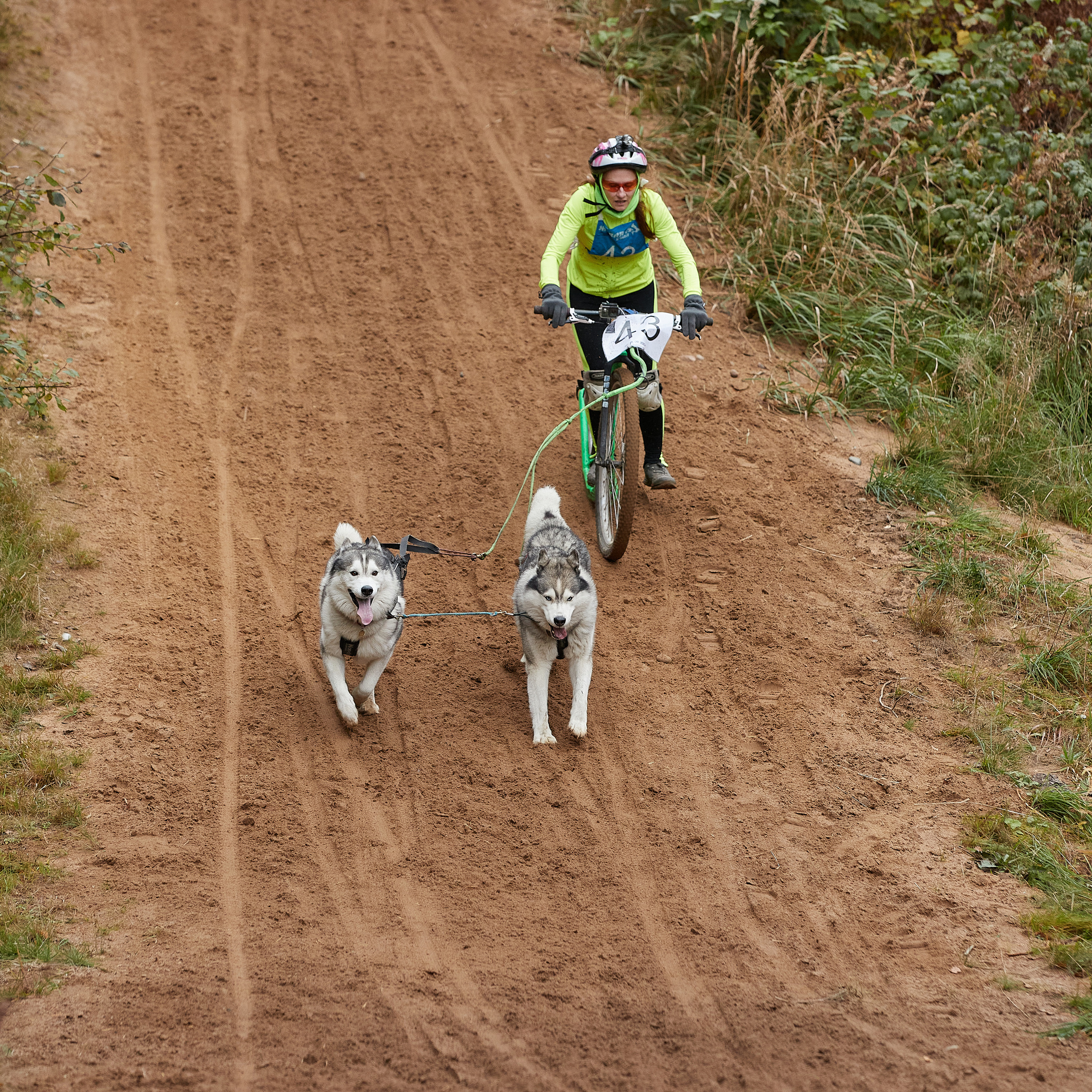 ЧЕМПИОНАТ РОССИИ РКФ 25–26 сентября 2021 г. ФОТОГРАФ-АНИМАЛИСТ l LANA POLYAKOVA