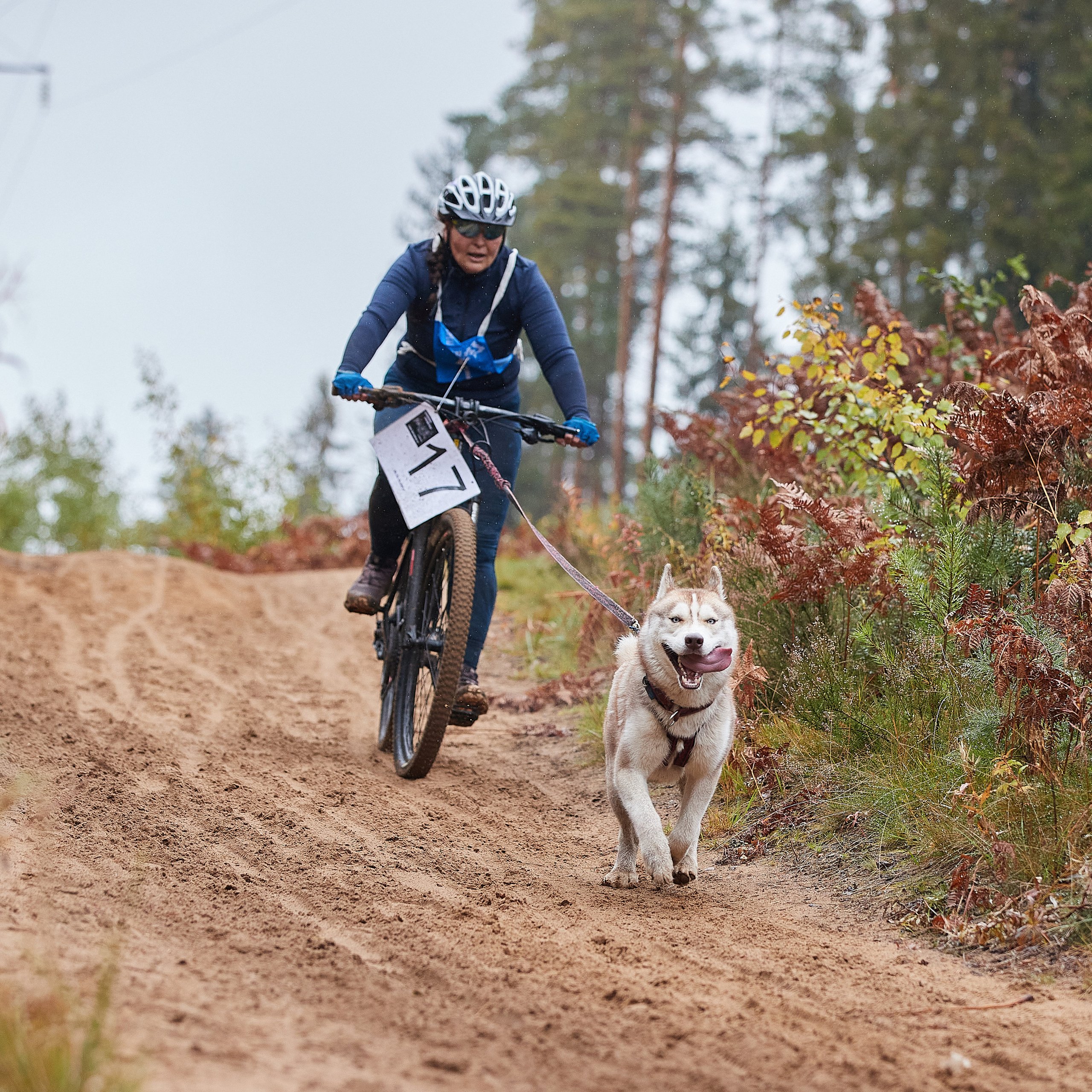 ЧЕМПИОНАТ РОССИИ РКФ 25–26 сентября 2021 г. ФОТОГРАФ-АНИМАЛИСТ l LANA POLYAKOVA