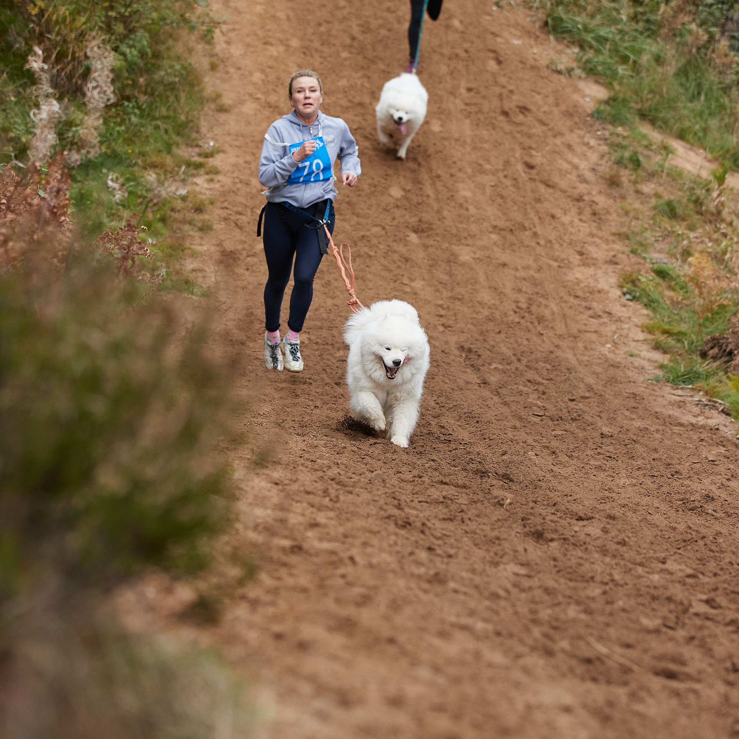 ЧЕМПИОНАТ РОССИИ РКФ 25–26 сентября 2021 г. ФОТОГРАФ-АНИМАЛИСТ l LANA POLYAKOVA