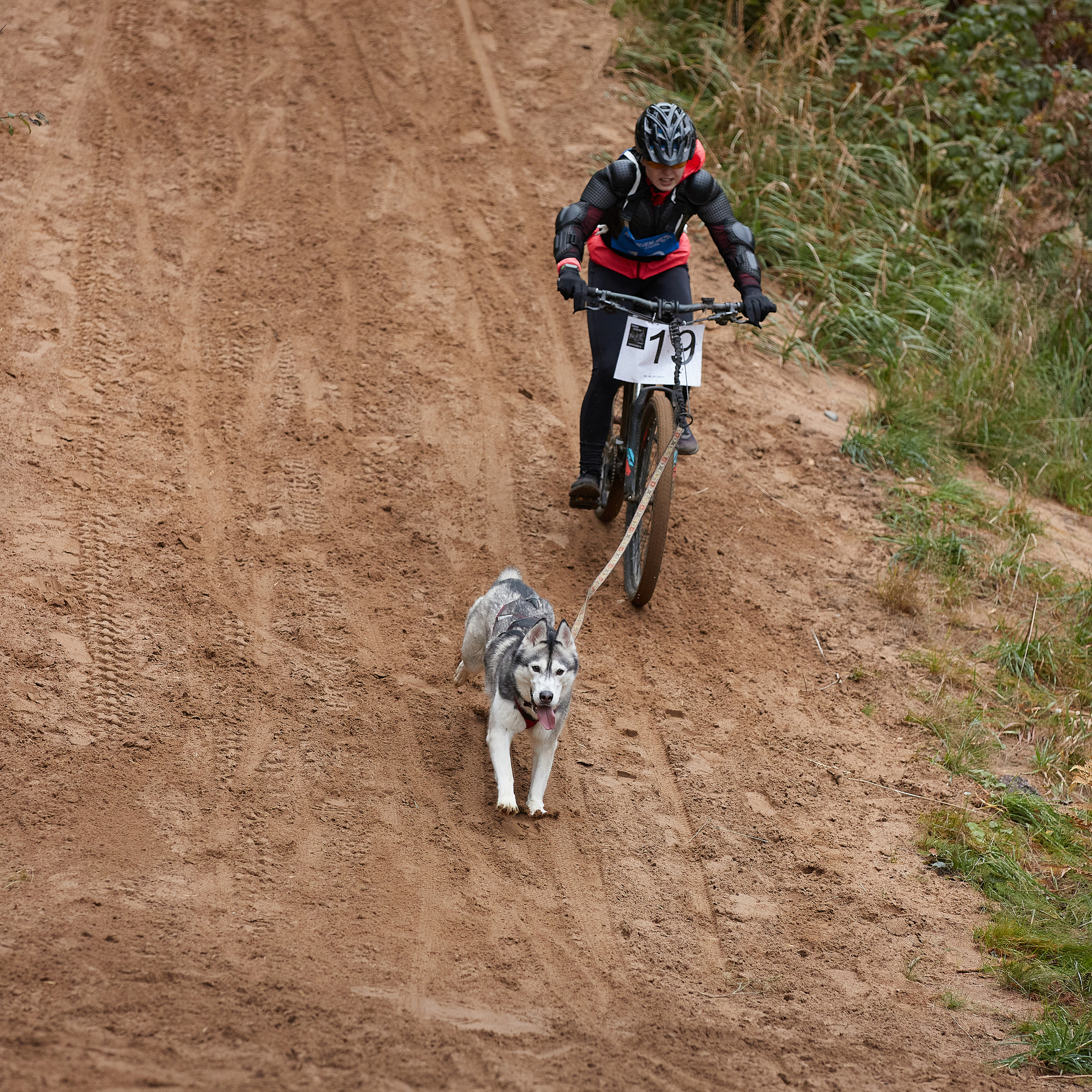 ЧЕМПИОНАТ РОССИИ РКФ 25–26 сентября 2021 г. ФОТОГРАФ-АНИМАЛИСТ l LANA POLYAKOVA