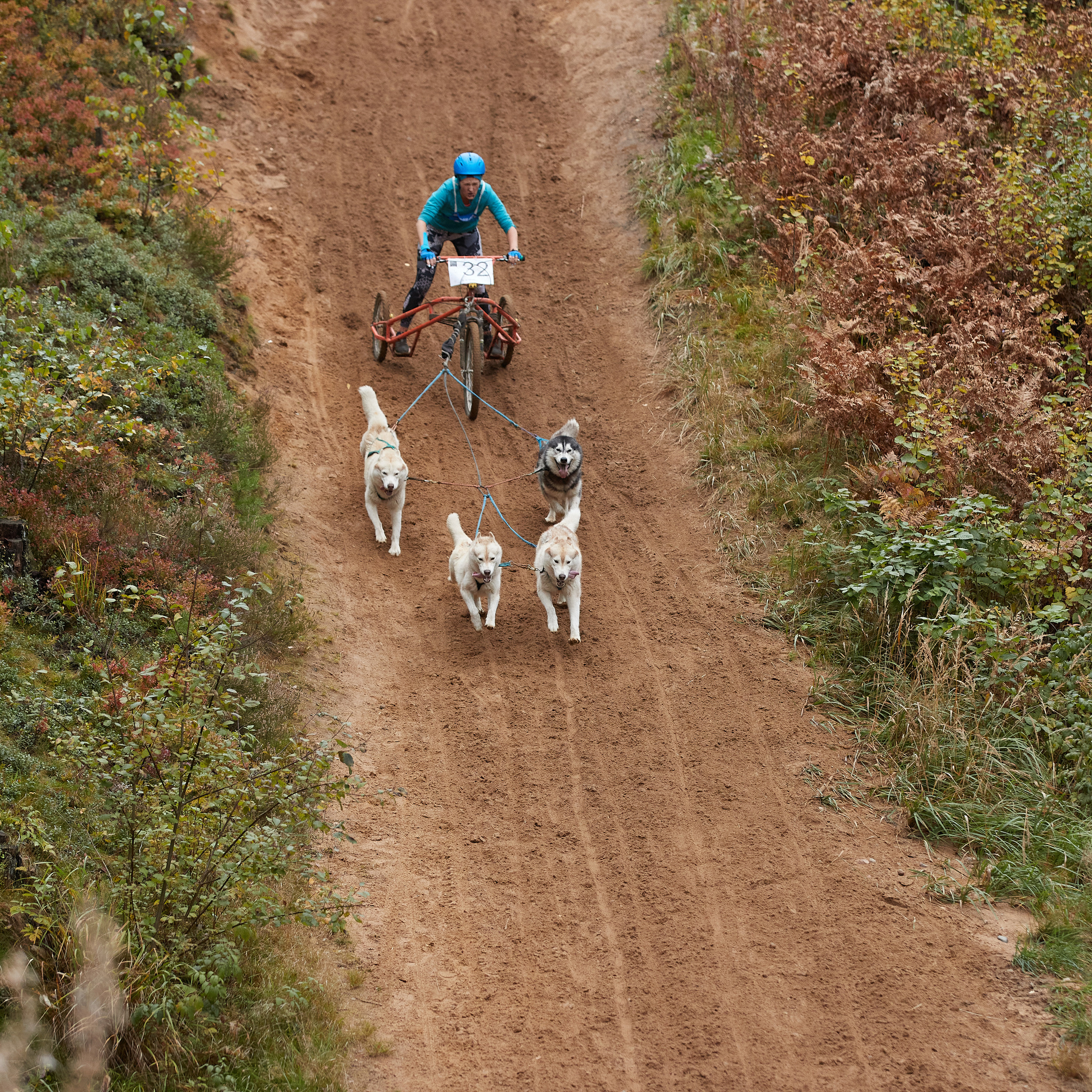 ЧЕМПИОНАТ РОССИИ РКФ 25–26 сентября 2021 г. ФОТОГРАФ-АНИМАЛИСТ l LANA POLYAKOVA