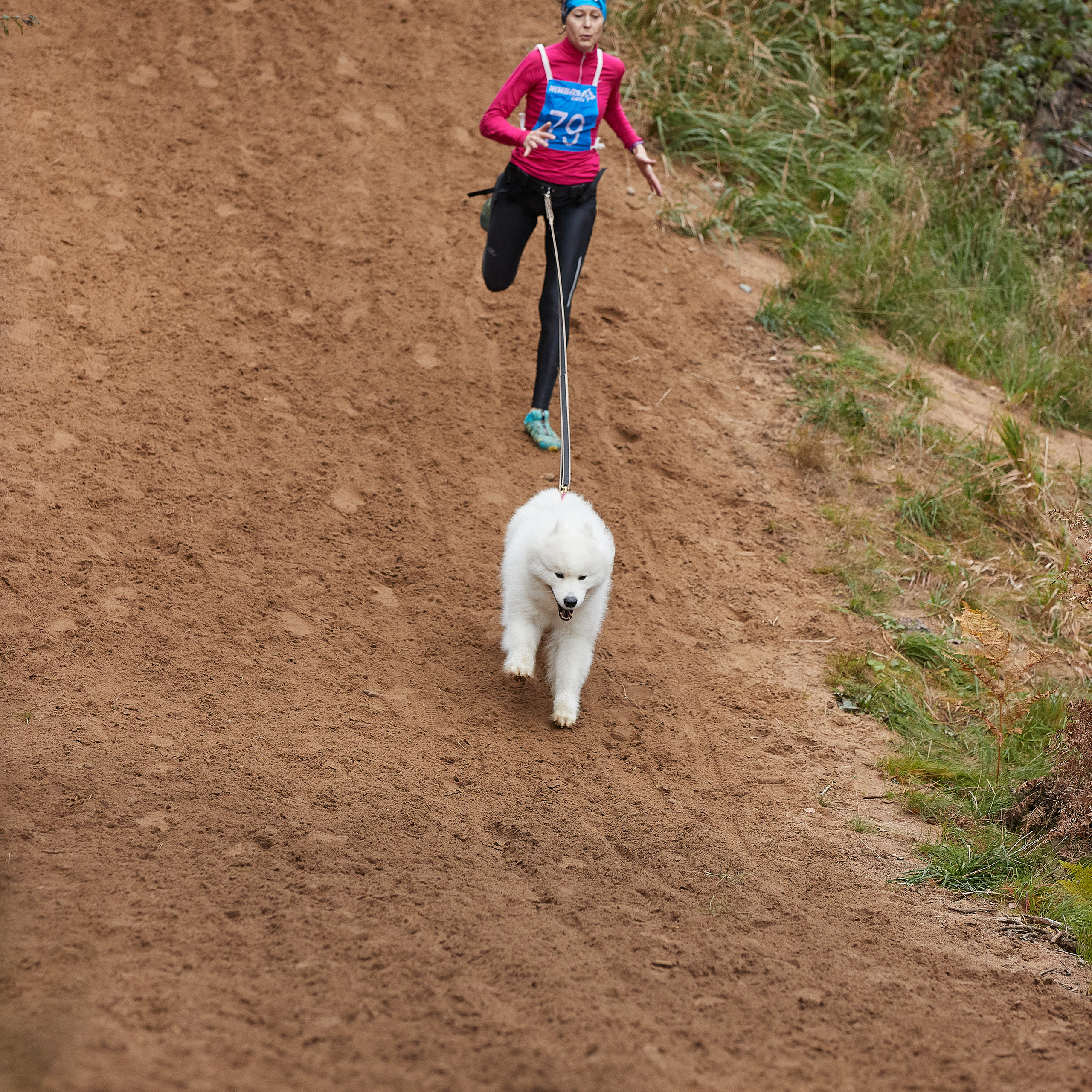 ЧЕМПИОНАТ РОССИИ РКФ 25–26 сентября 2021 г. ФОТОГРАФ-АНИМАЛИСТ l LANA POLYAKOVA