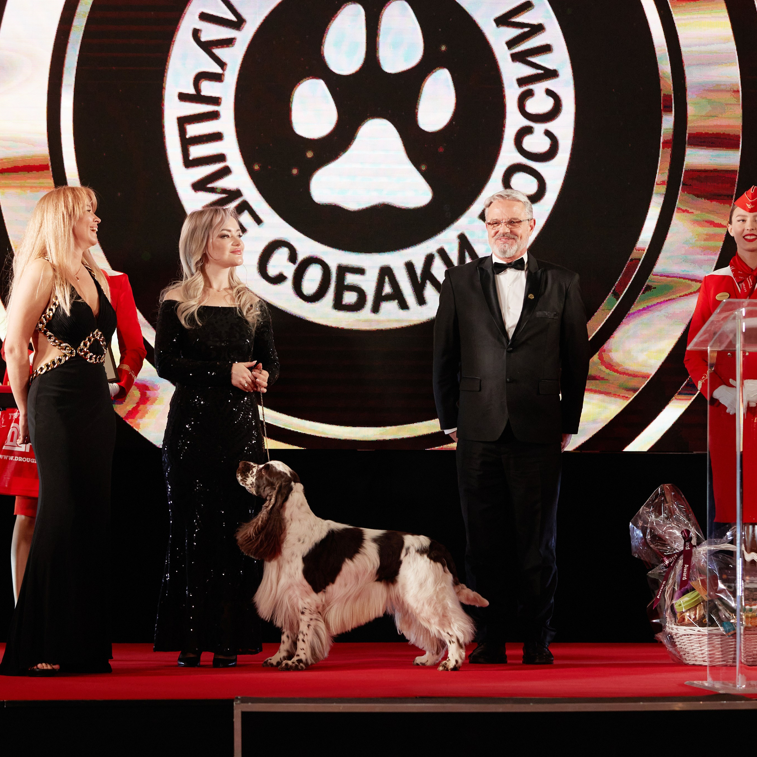 Репортаж с церемонии «BEST RUSSIAN DOG 2023». ФОТОГРАФ-АНИМАЛИСТ l LANA POLYAKOVA