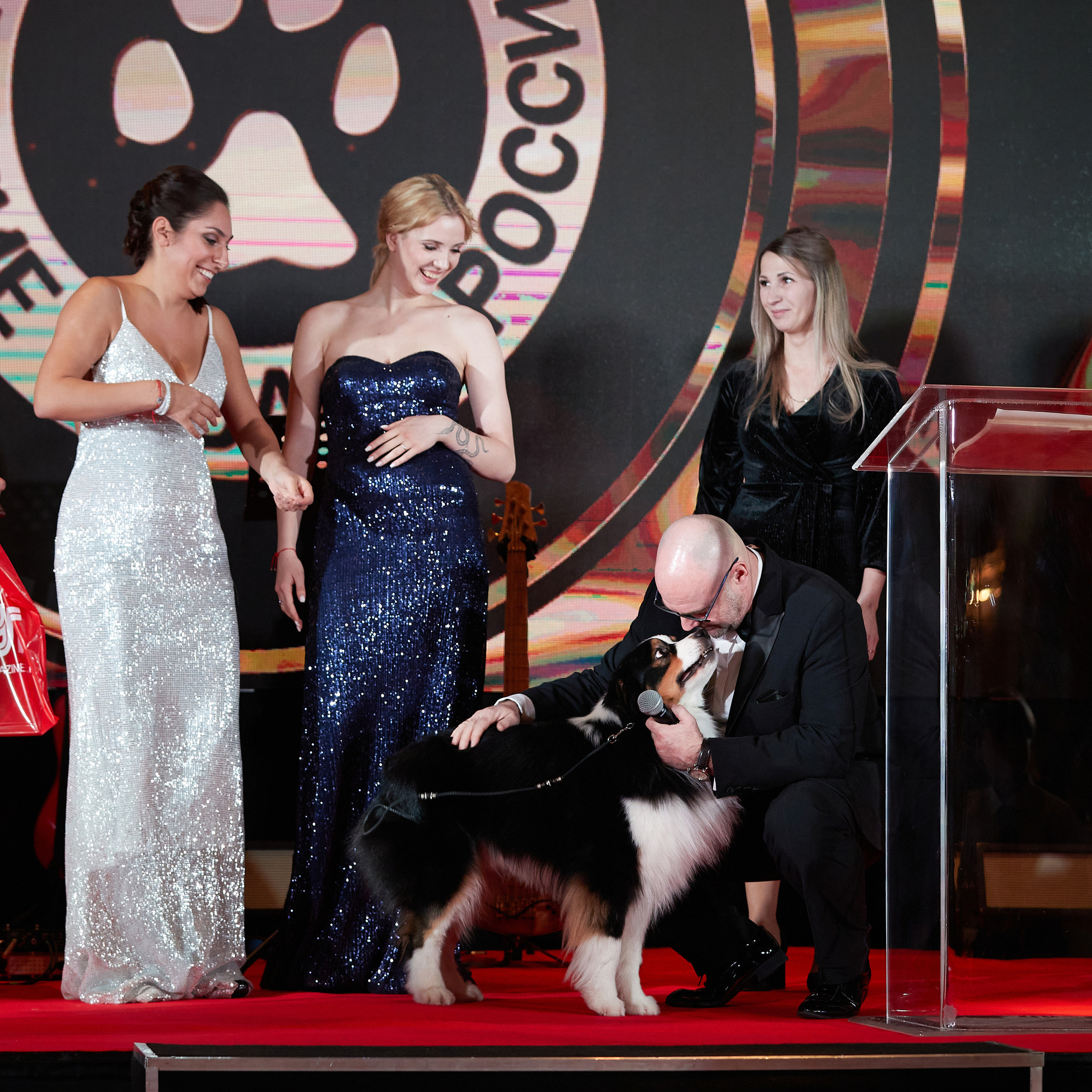 Репортаж с церемонии «BEST RUSSIAN DOG 2022». ФОТОГРАФ-АНИМАЛИСТ l LANA POLYAKOVA