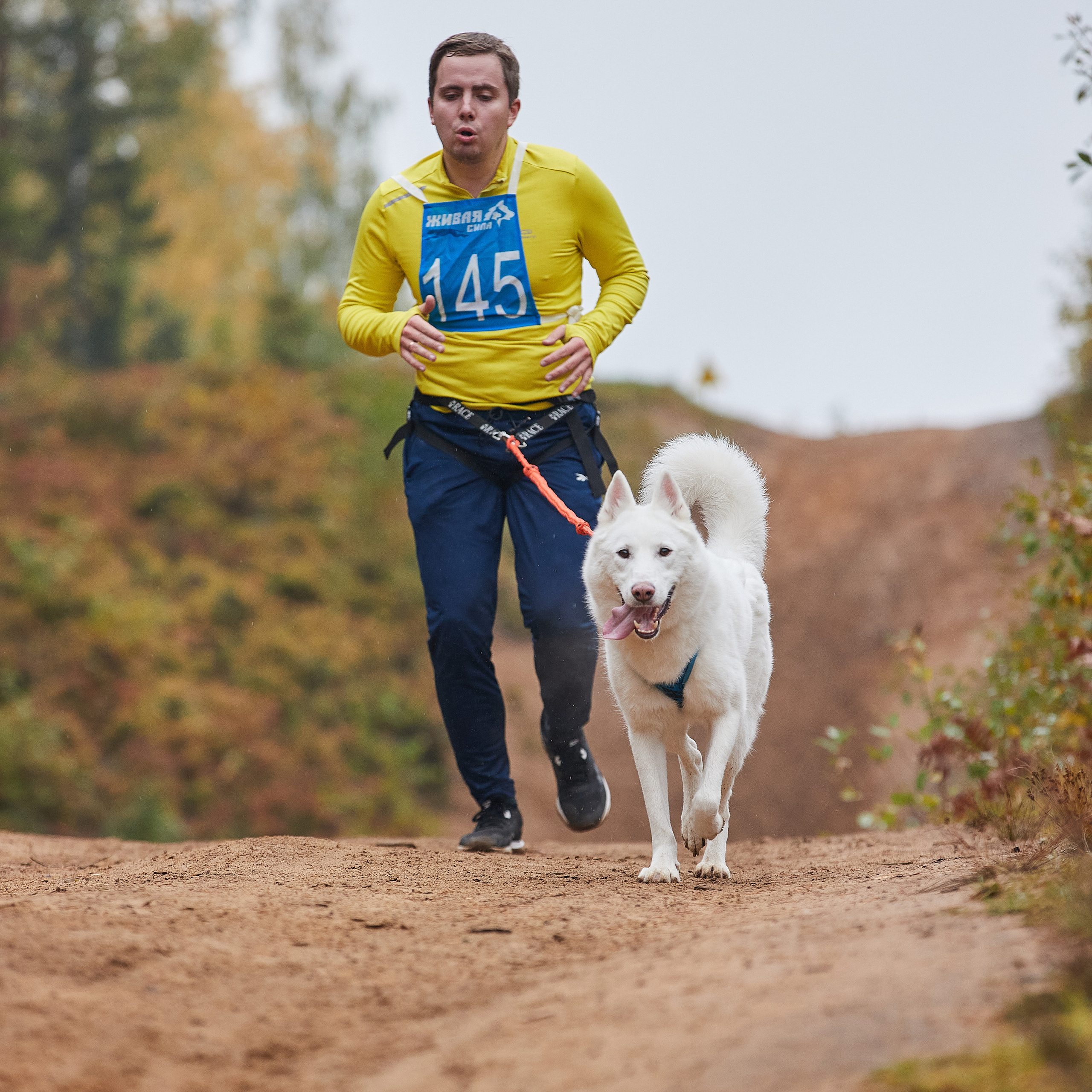 ЧЕМПИОНАТ РОССИИ РКФ 25–26 сентября 2021 г. ФОТОГРАФ-АНИМАЛИСТ l LANA POLYAKOVA