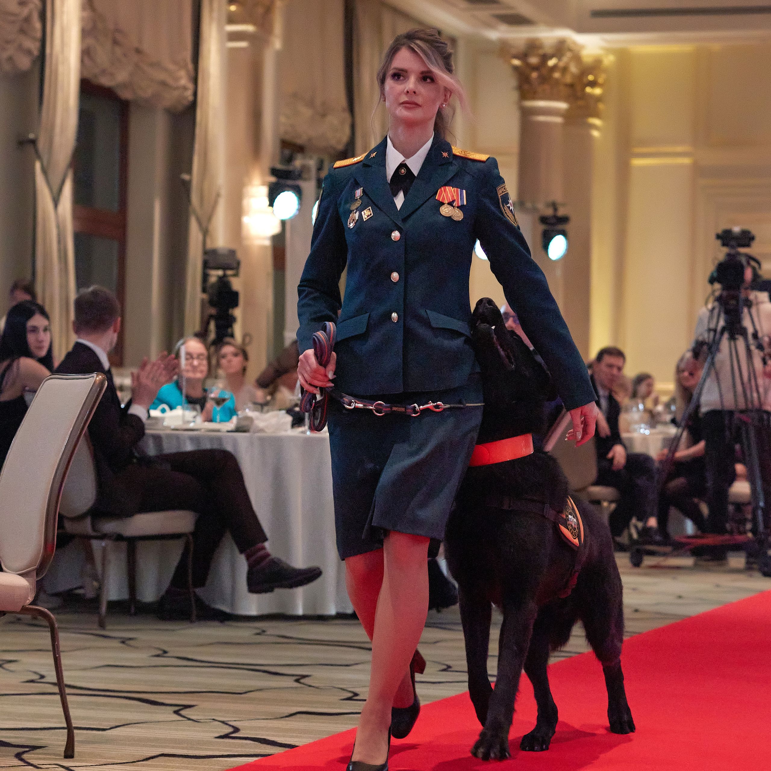 Репортаж с церемонии «BEST RUSSIAN DOG 2022». ФОТОГРАФ-АНИМАЛИСТ l LANA POLYAKOVA