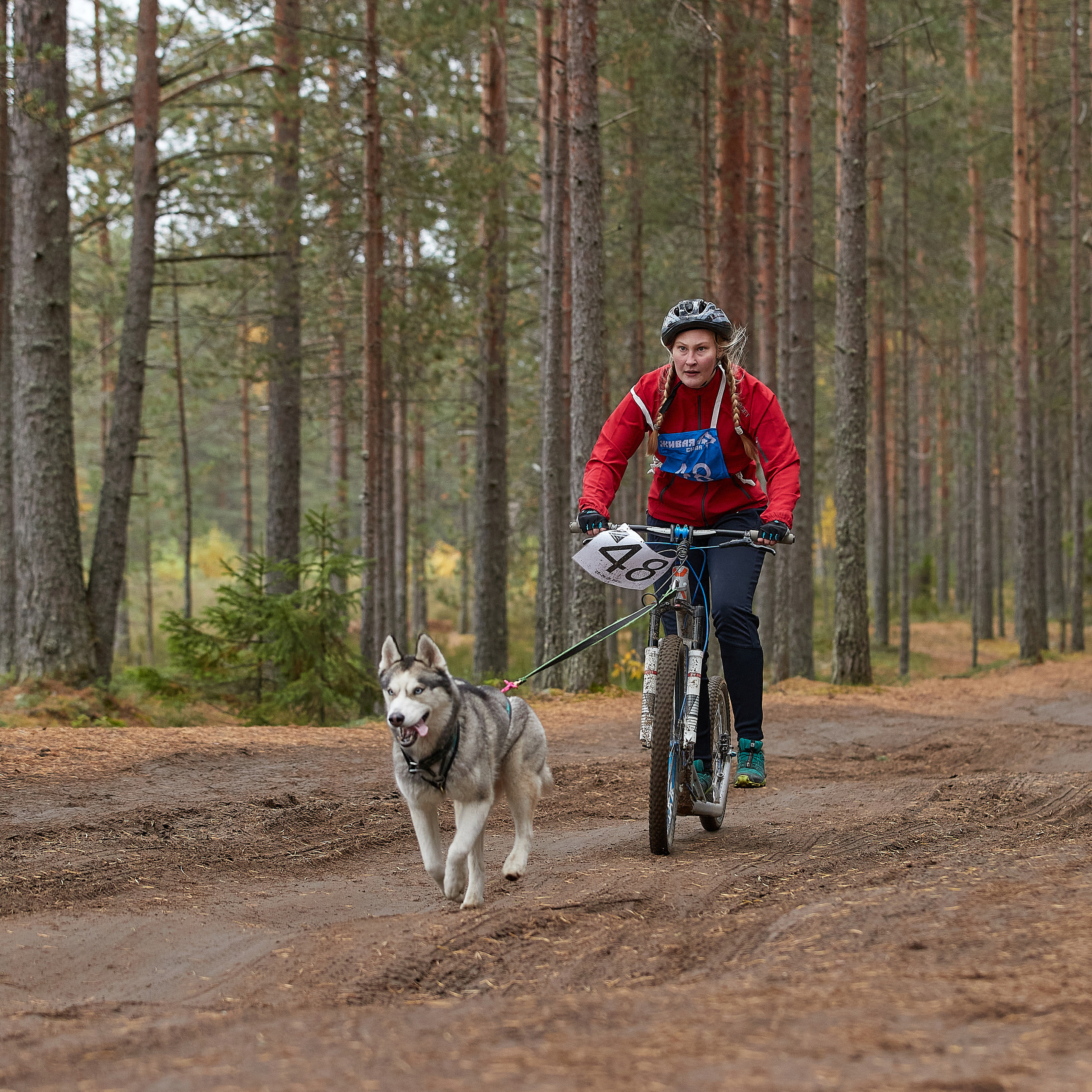 ЧЕМПИОНАТ РОССИИ РКФ 25–26 сентября 2021 г. ФОТОГРАФ-АНИМАЛИСТ l LANA POLYAKOVA