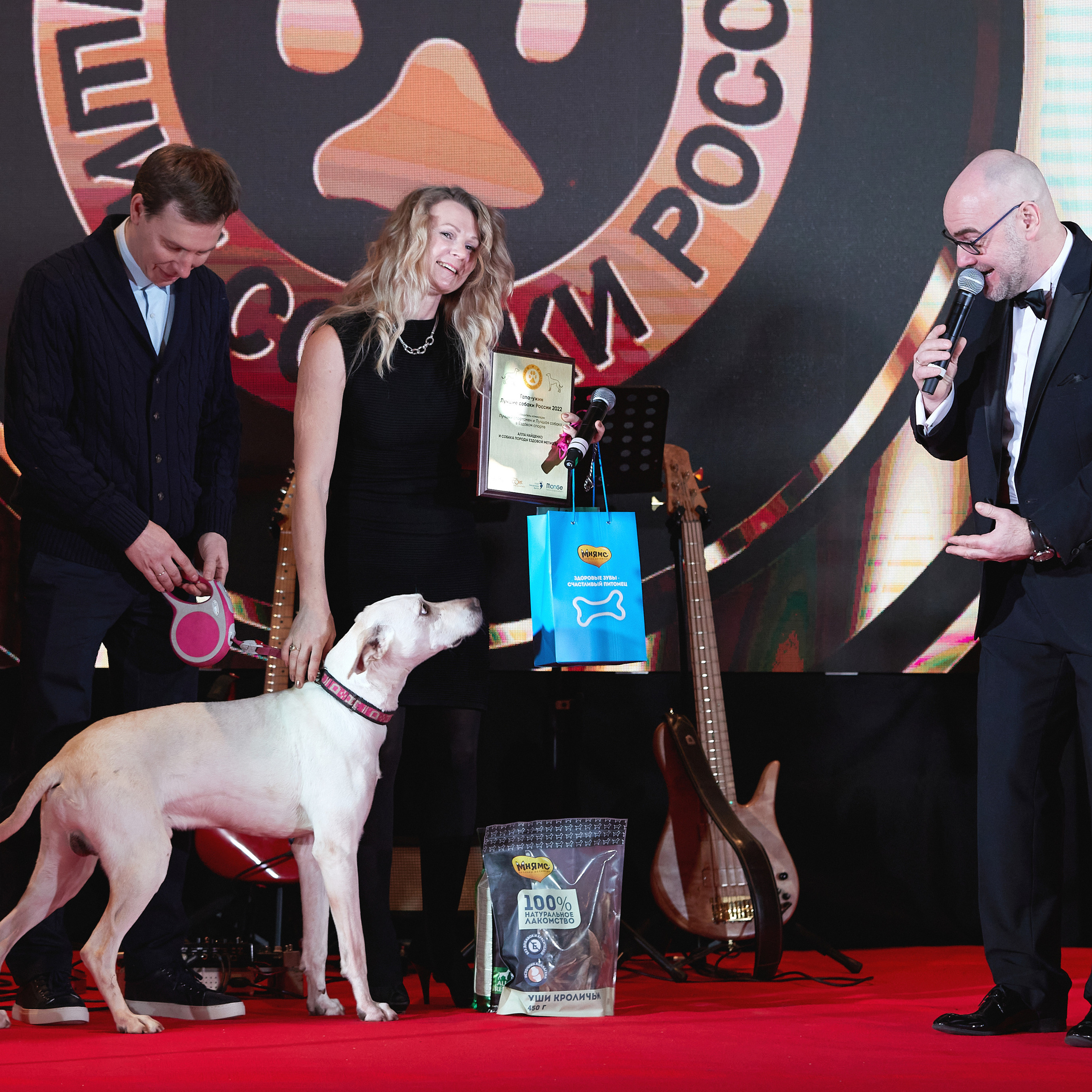 Репортаж с церемонии «BEST RUSSIAN DOG 2022». ФОТОГРАФ-АНИМАЛИСТ l LANA POLYAKOVA