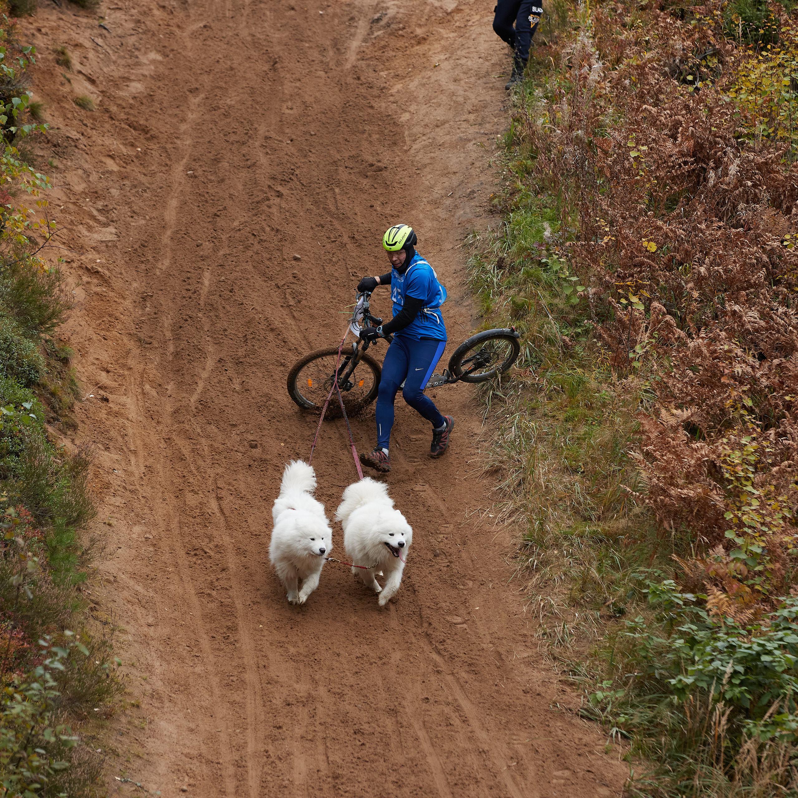 ЧЕМПИОНАТ РОССИИ РКФ 25–26 сентября 2021 г. ФОТОГРАФ-АНИМАЛИСТ l LANA POLYAKOVA