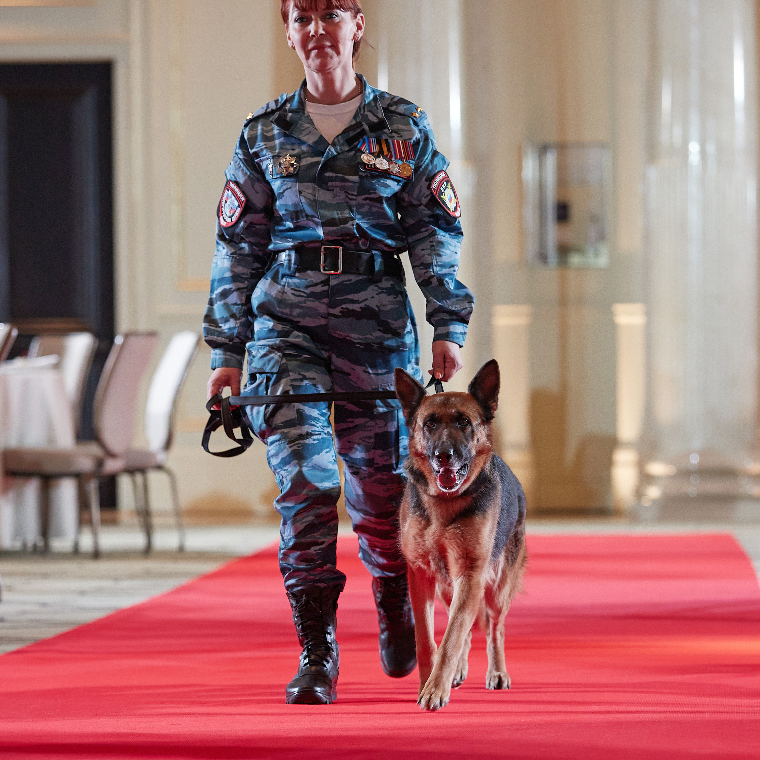 Репортаж с церемонии «BEST RUSSIAN DOG 2022». ФОТОГРАФ-АНИМАЛИСТ l LANA POLYAKOVA