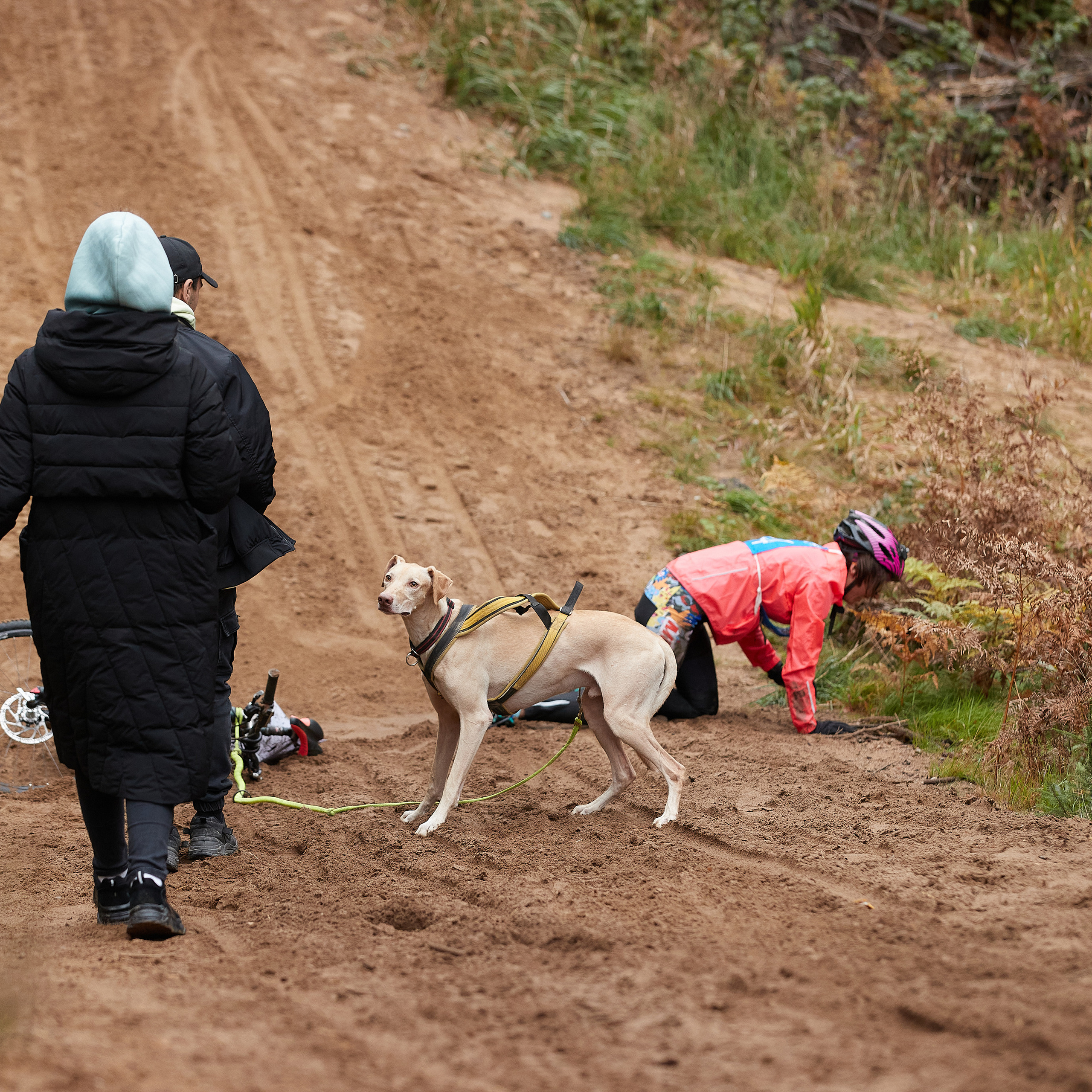ЧЕМПИОНАТ РОССИИ РКФ 25–26 сентября 2021 г. ФОТОГРАФ-АНИМАЛИСТ l LANA POLYAKOVA