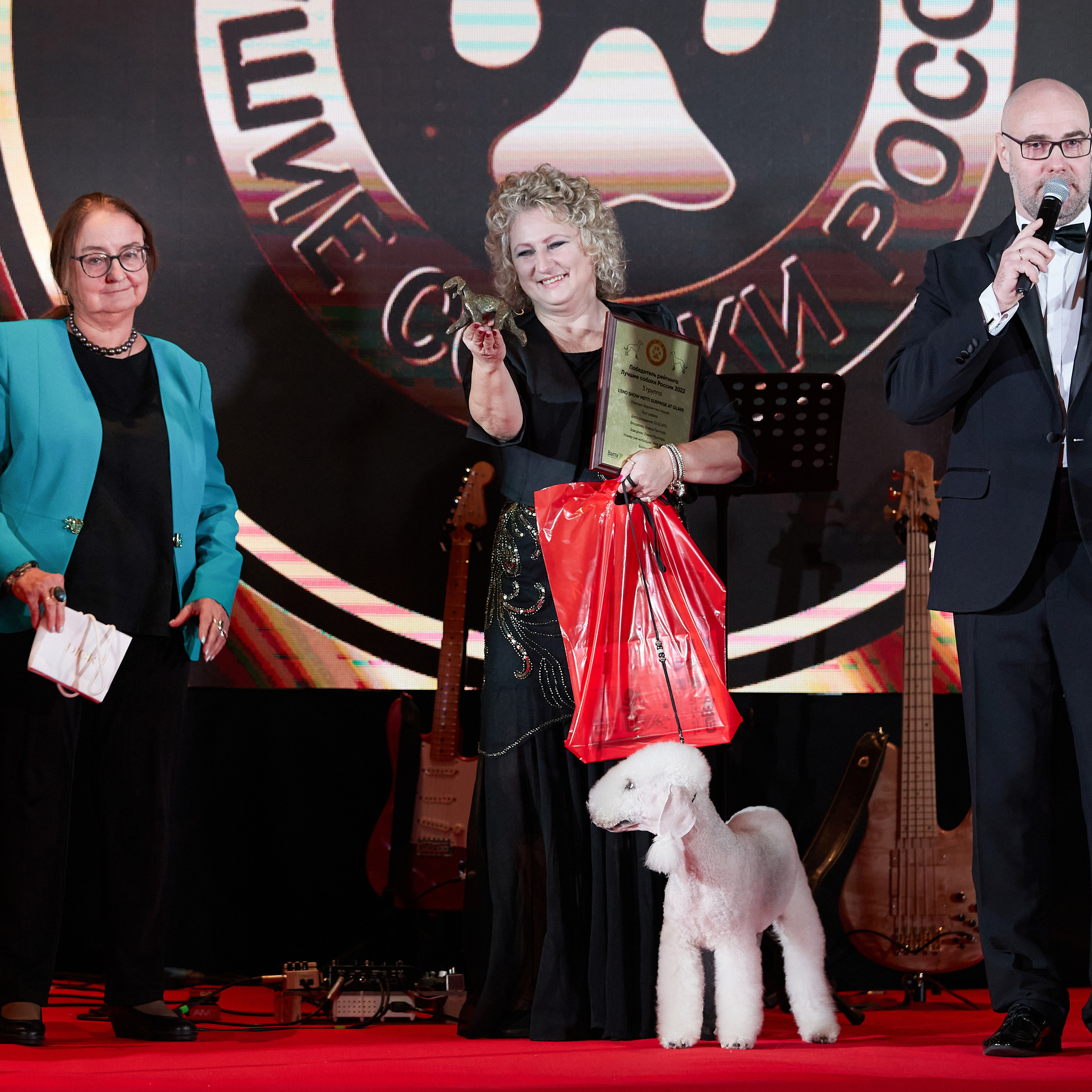 Репортаж с церемонии «BEST RUSSIAN DOG 2022». ФОТОГРАФ-АНИМАЛИСТ l LANA POLYAKOVA