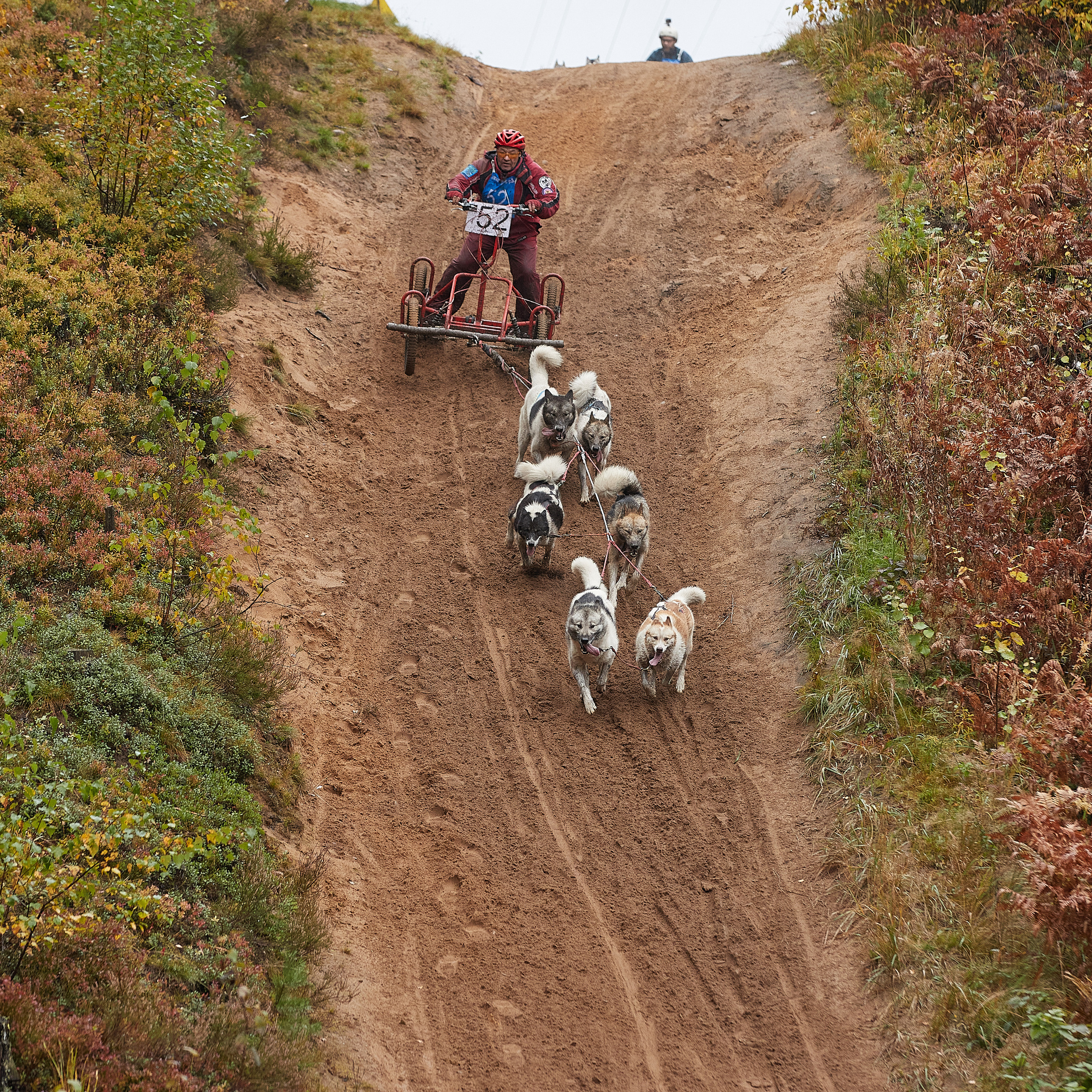 ЧЕМПИОНАТ РОССИИ РКФ 25–26 сентября 2021 г. ФОТОГРАФ-АНИМАЛИСТ l LANA POLYAKOVA