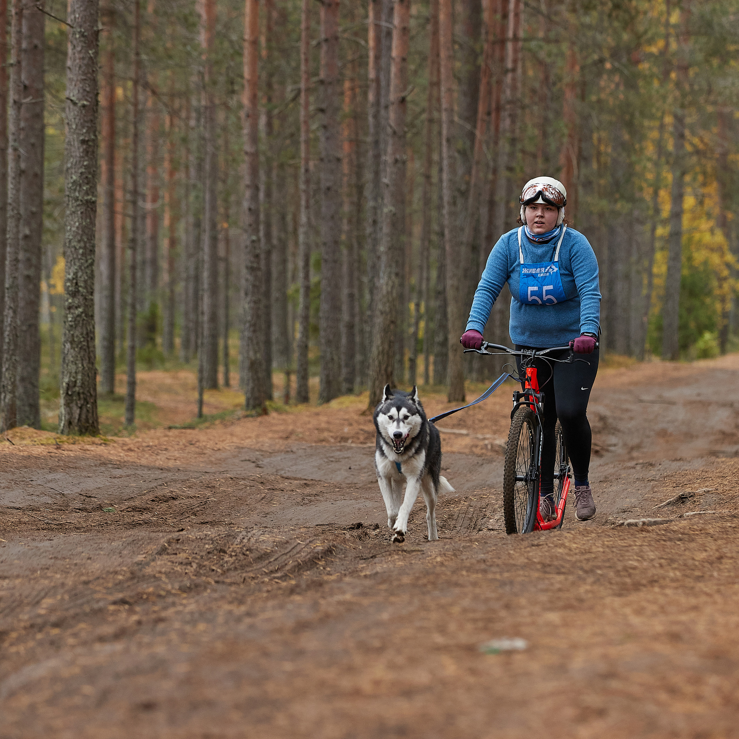 ЧЕМПИОНАТ РОССИИ РКФ 25–26 сентября 2021 г. ФОТОГРАФ-АНИМАЛИСТ l LANA POLYAKOVA