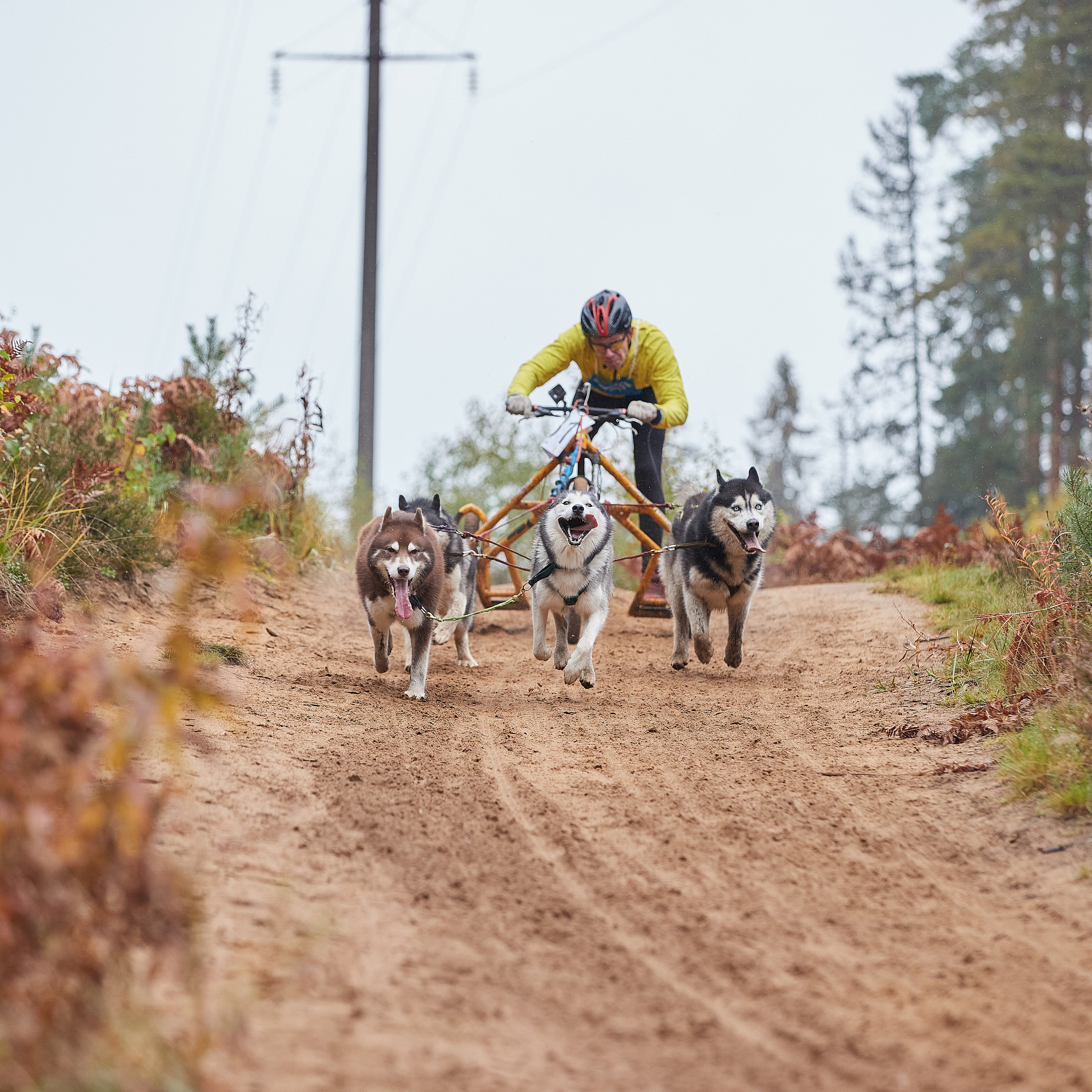 ЧЕМПИОНАТ РОССИИ РКФ 25–26 сентября 2021 г. ФОТОГРАФ-АНИМАЛИСТ l LANA POLYAKOVA