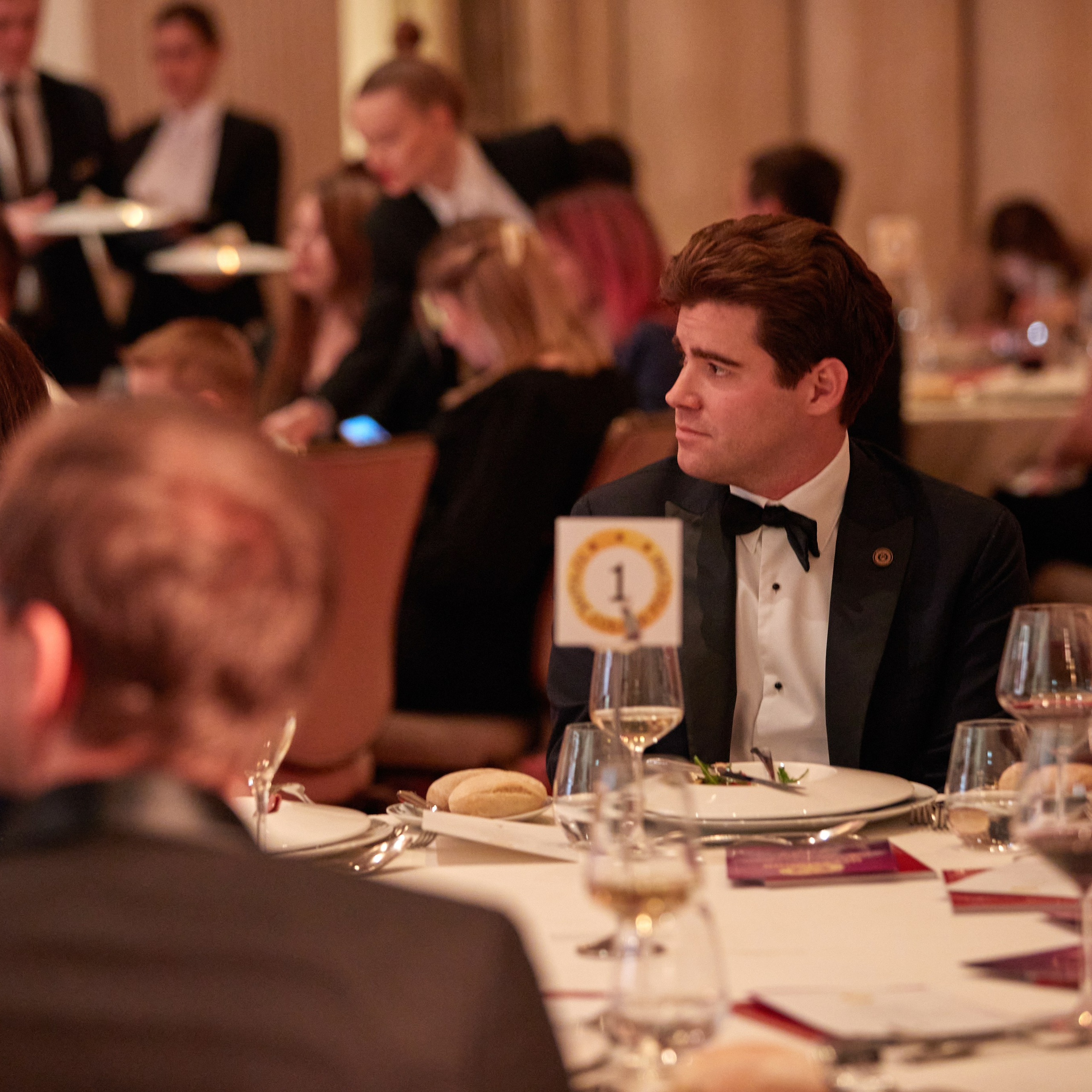 Репортаж с церемонии «BEST RUSSIAN DOG 2023». ФОТОГРАФ-АНИМАЛИСТ l LANA POLYAKOVA