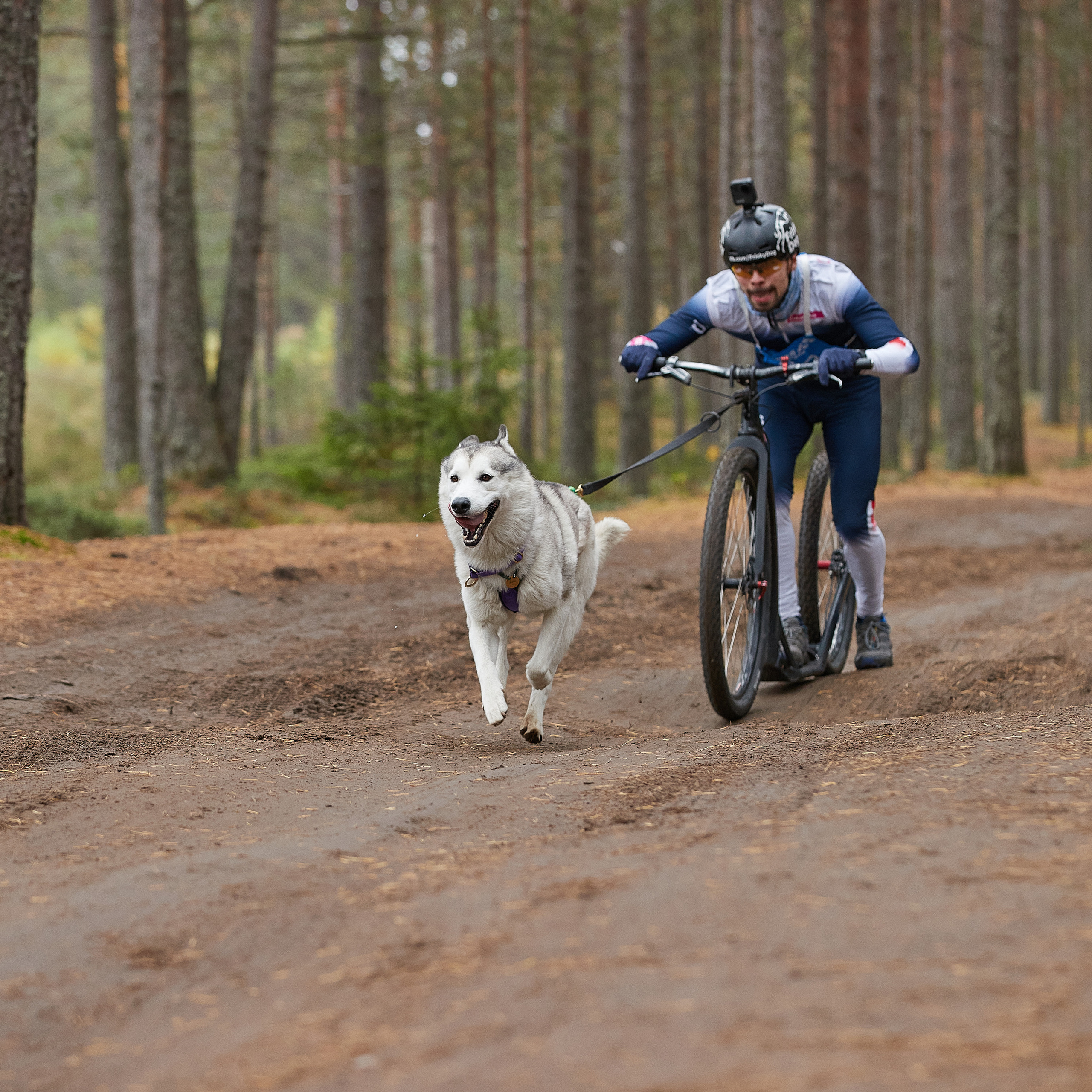 ЧЕМПИОНАТ РОССИИ РКФ 25–26 сентября 2021 г. ФОТОГРАФ-АНИМАЛИСТ l LANA POLYAKOVA