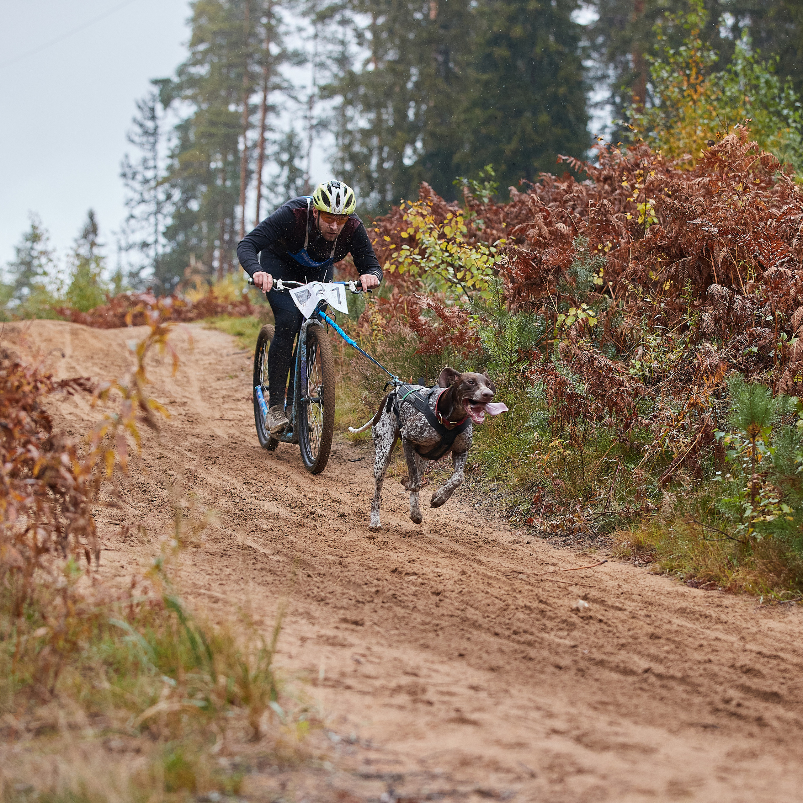 ЧЕМПИОНАТ РОССИИ РКФ 25–26 сентября 2021 г. ФОТОГРАФ-АНИМАЛИСТ l LANA POLYAKOVA
