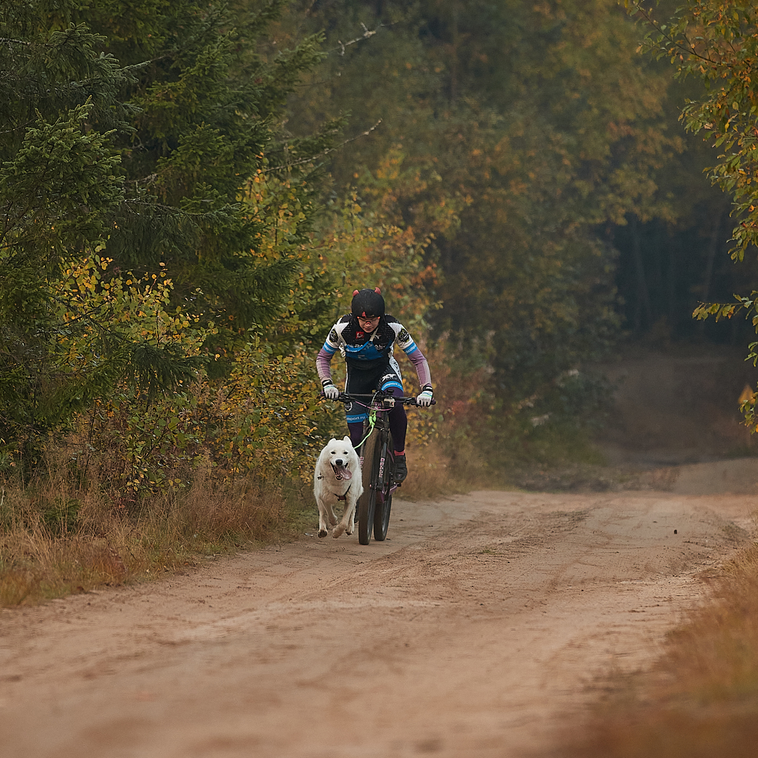 ЧЕМПИОНАТ РОССИИ РКФ 27 сентября 2020 г., 2й день. ФОТОГРАФ-АНИМАЛИСТ l LANA POLYAKOVA