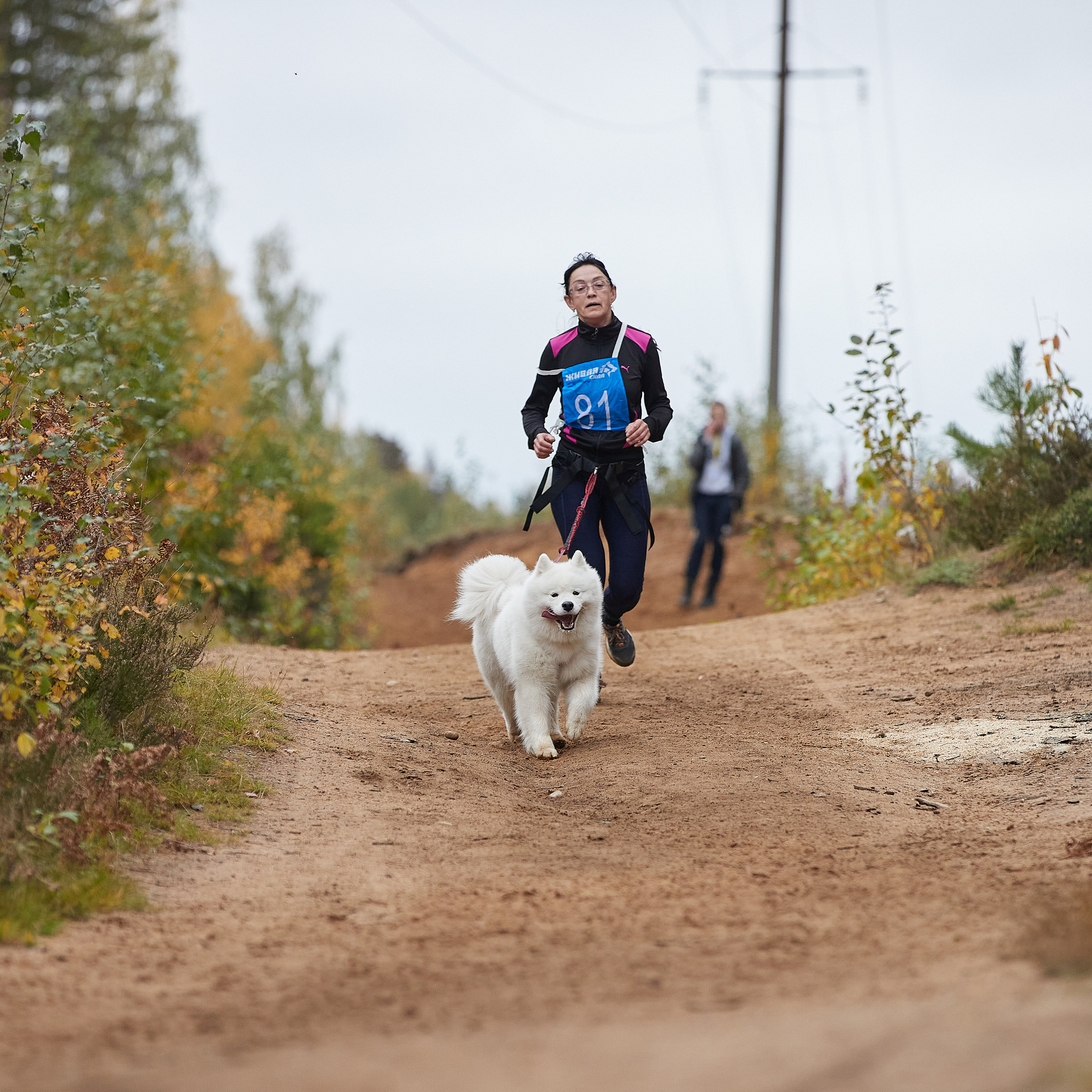 ЧЕМПИОНАТ РОССИИ РКФ 25–26 сентября 2021 г. ФОТОГРАФ-АНИМАЛИСТ l LANA POLYAKOVA