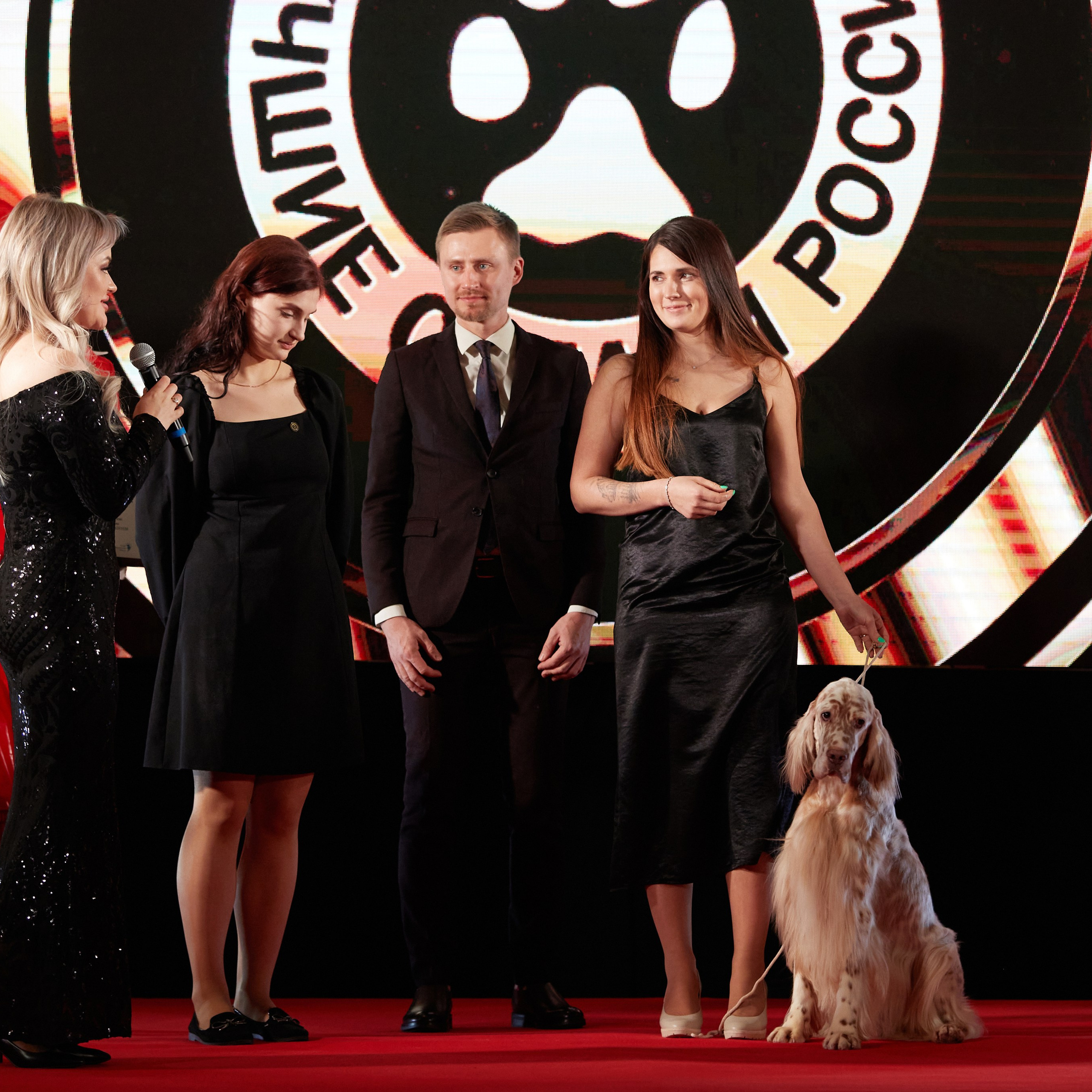 Репортаж с церемонии «BEST RUSSIAN DOG 2023». ФОТОГРАФ-АНИМАЛИСТ l LANA POLYAKOVA