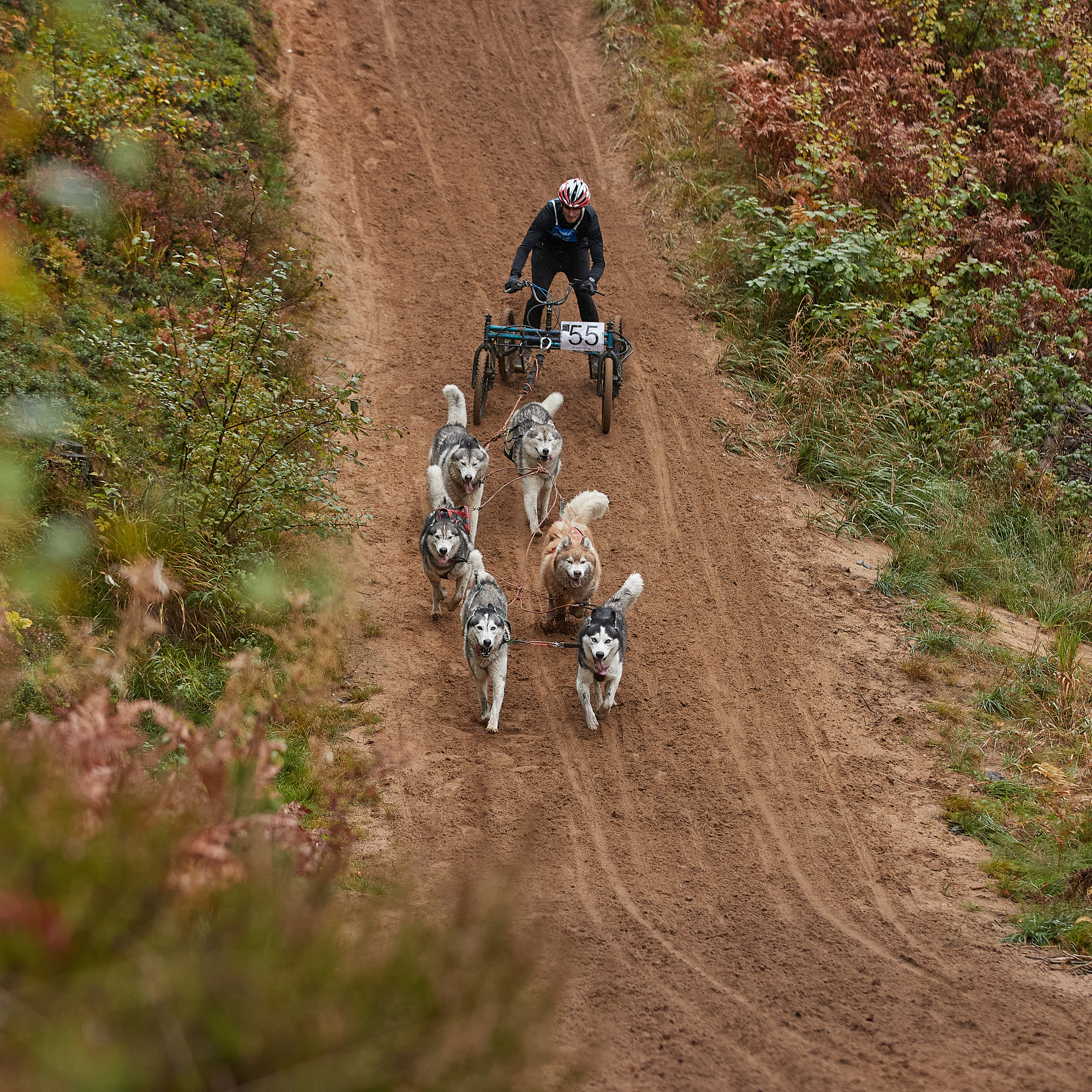 ЧЕМПИОНАТ РОССИИ РКФ 25–26 сентября 2021 г. ФОТОГРАФ-АНИМАЛИСТ l LANA POLYAKOVA