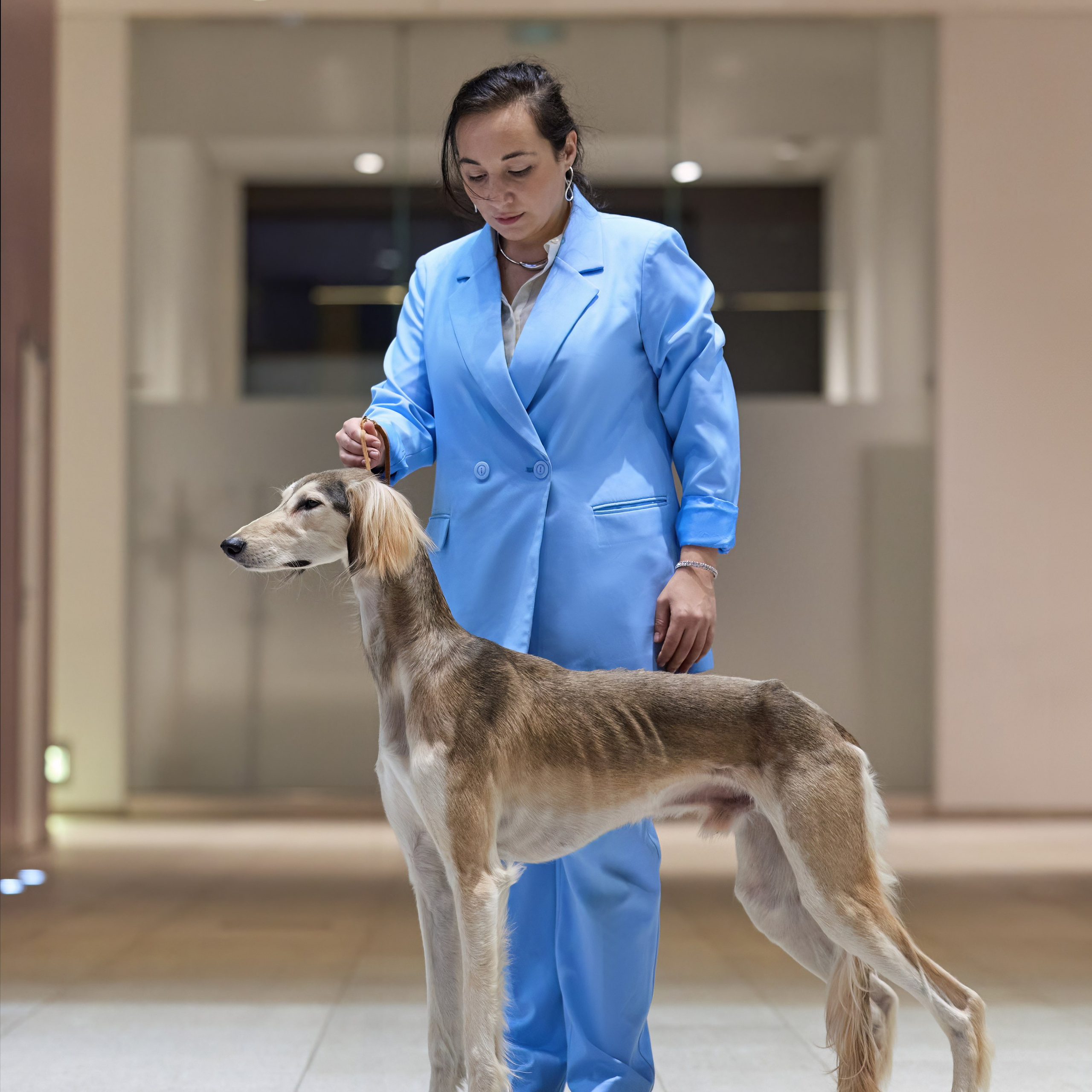 ВЫСТАВКА СОБАК С ОСОБЫМ СТАТУСОМ «НЕВСКИЙ ПОБЕДИТЕЛЬ» 12-13-14.12.2025. ФОТОГРАФ-АНИМАЛИСТ l LANA POLYAKOVA