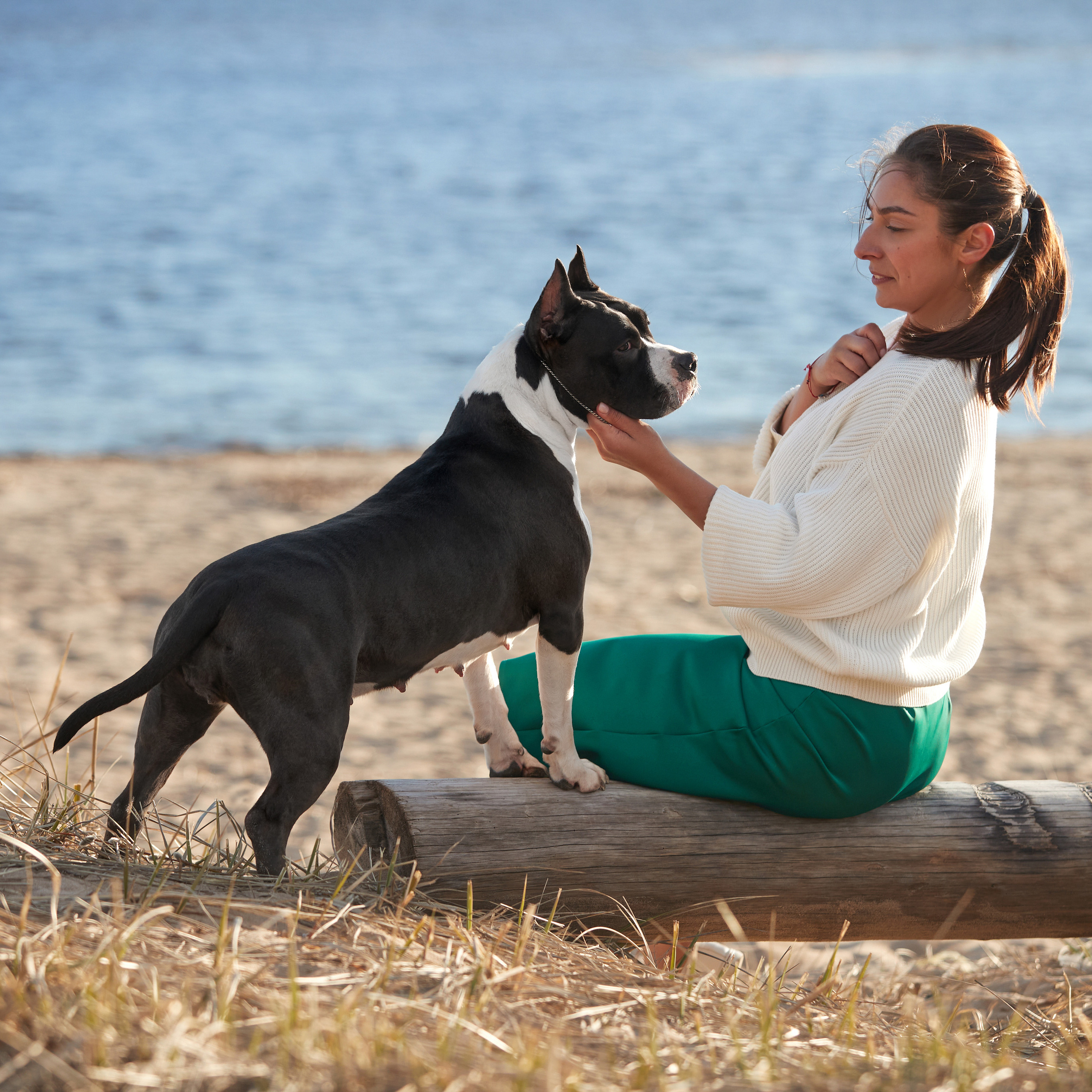 Большая рассветно-закатная съемка. ФОТОГРАФ-АНИМАЛИСТ l LANA POLYAKOVA