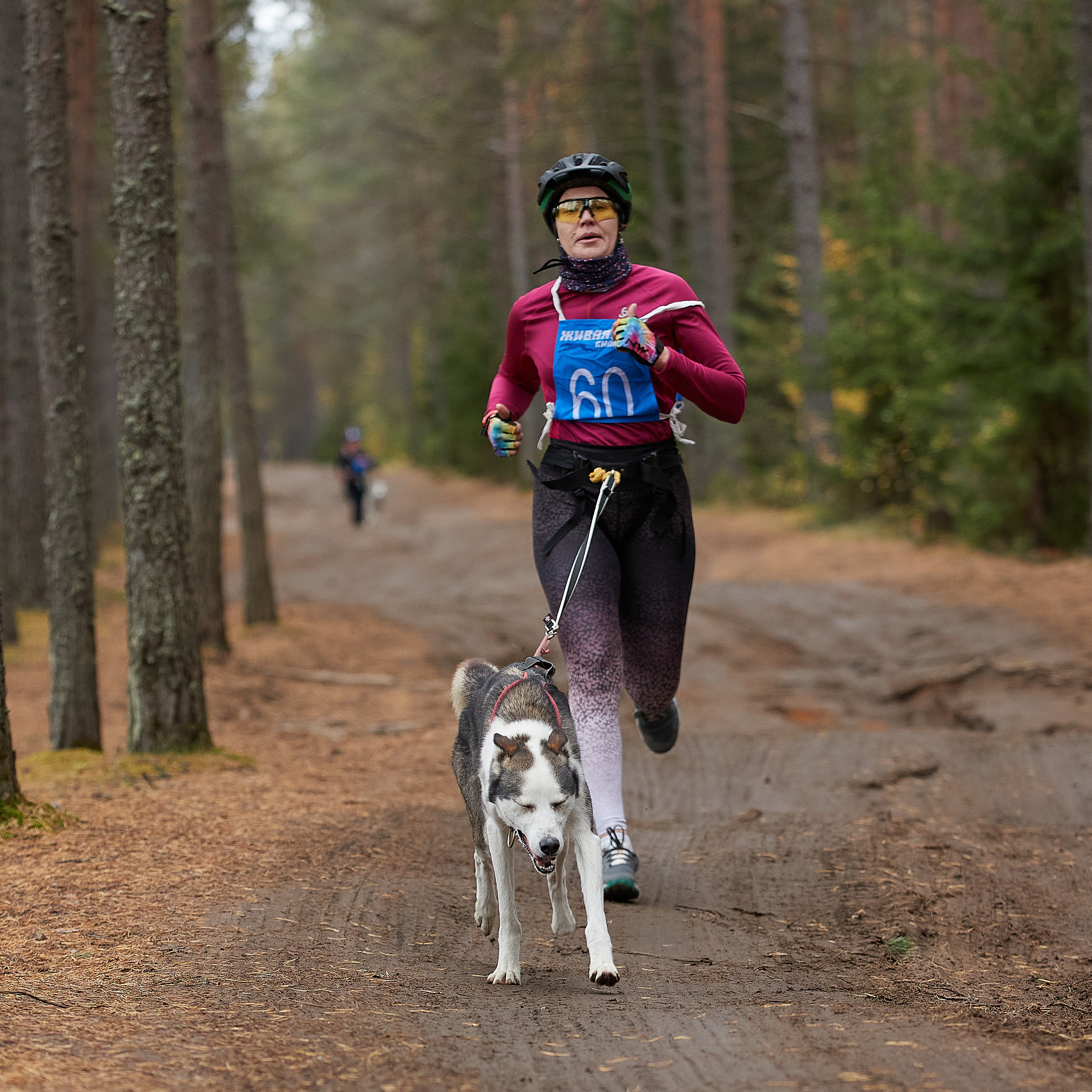 ЧЕМПИОНАТ РОССИИ РКФ 25–26 сентября 2021 г. ФОТОГРАФ-АНИМАЛИСТ l LANA POLYAKOVA