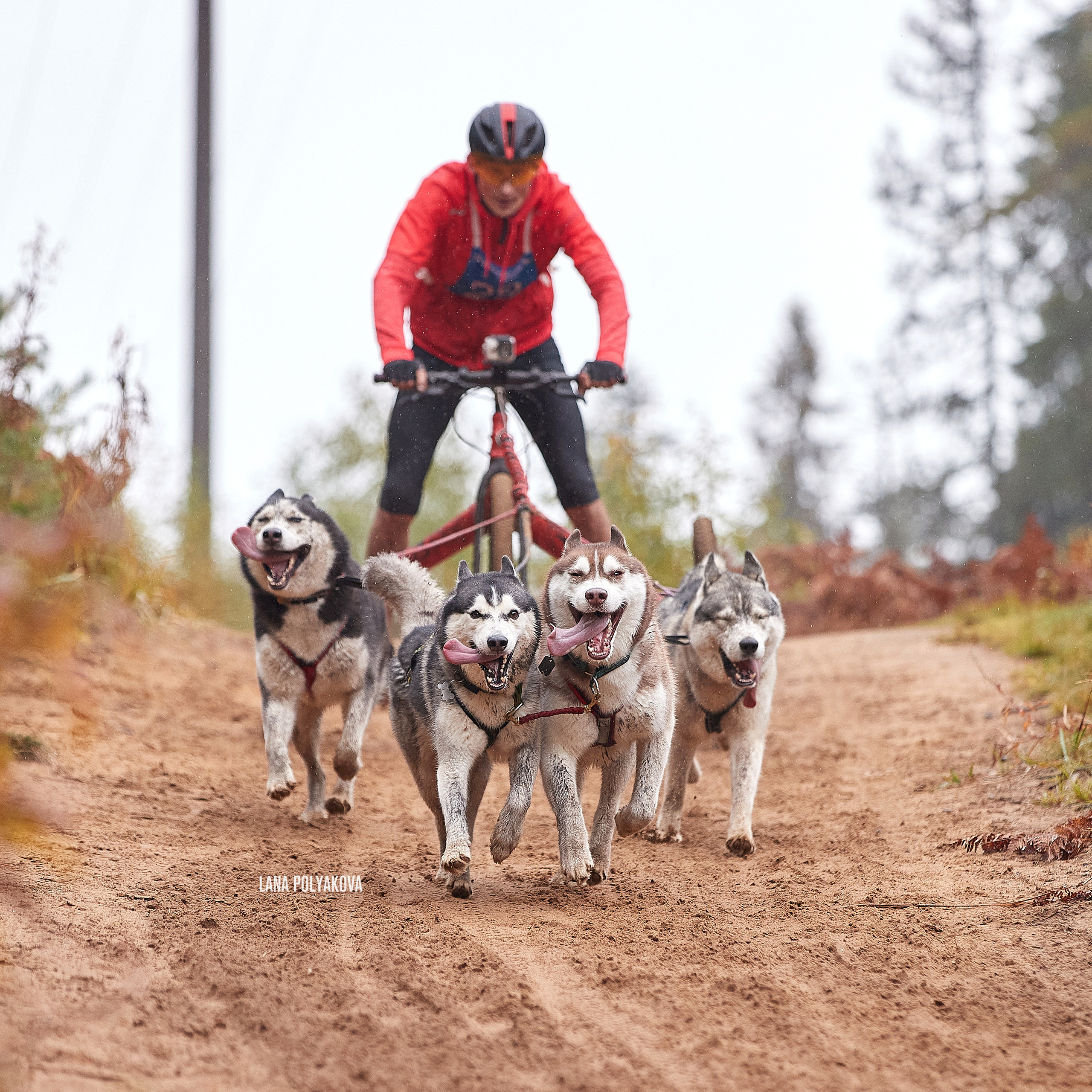 ЧЕМПИОНАТ РОССИИ РКФ 25–26 сентября 2021 г. ФОТОГРАФ-АНИМАЛИСТ l LANA POLYAKOVA