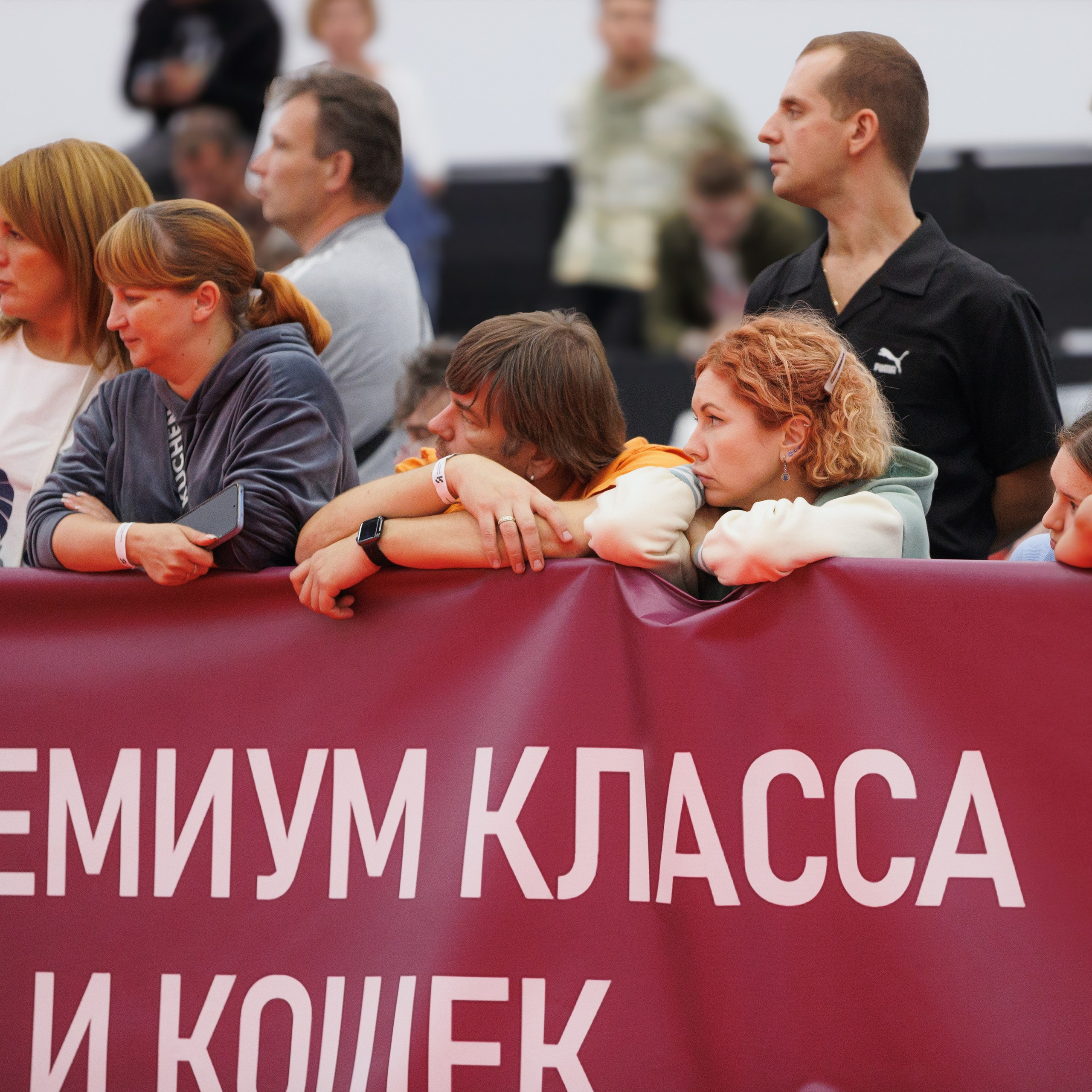 «СЕЗОН В НИЖНЕМ» НИЖНИЙ НОВГОРОД-2024. ФОТОГРАФ-АНИМАЛИСТ l LANA POLYAKOVA