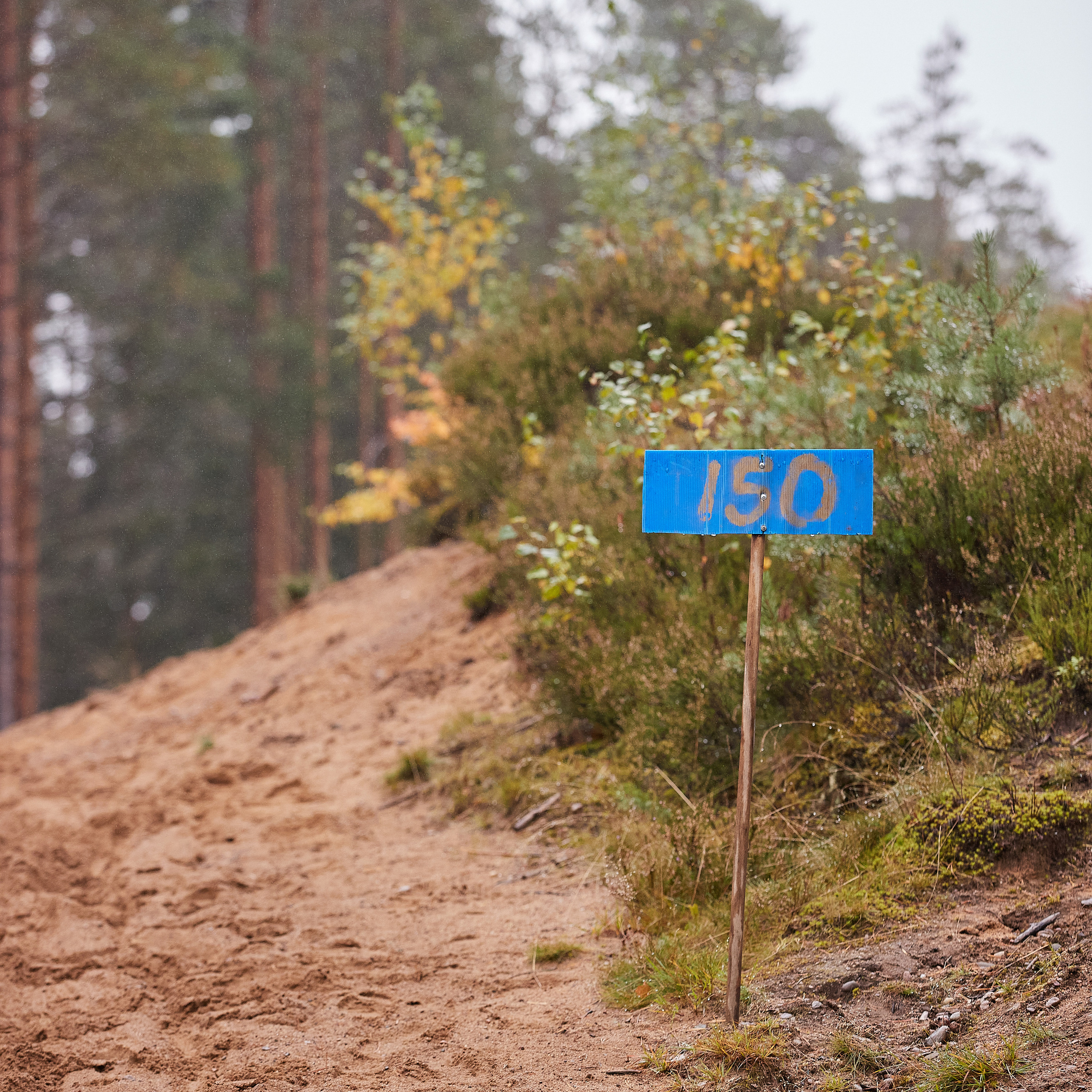 ЧЕМПИОНАТ РОССИИ РКФ 25–26 сентября 2021 г. ФОТОГРАФ-АНИМАЛИСТ l LANA POLYAKOVA