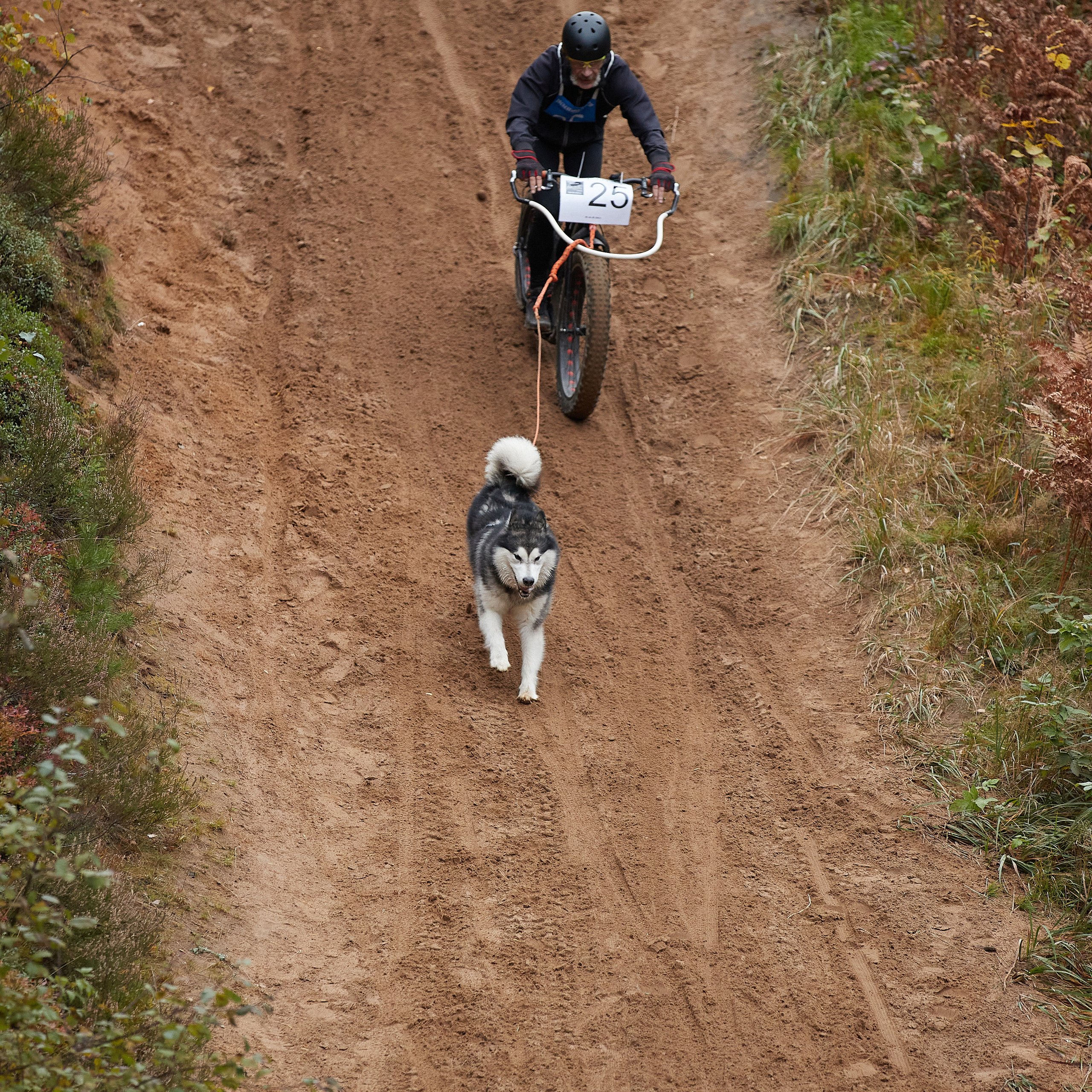 ЧЕМПИОНАТ РОССИИ РКФ 25–26 сентября 2021 г. ФОТОГРАФ-АНИМАЛИСТ l LANA POLYAKOVA