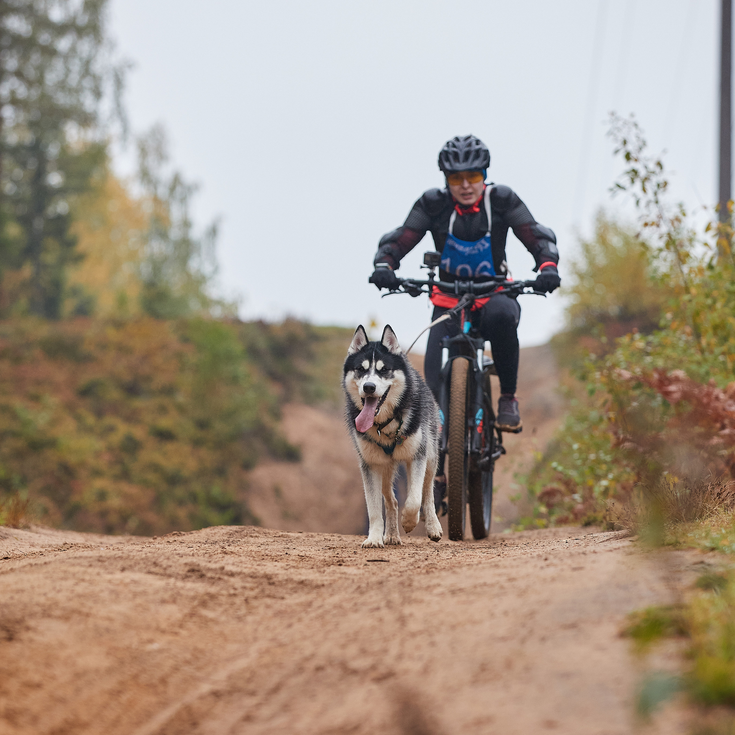 ЧЕМПИОНАТ РОССИИ РКФ 25–26 сентября 2021 г. ФОТОГРАФ-АНИМАЛИСТ l LANA POLYAKOVA