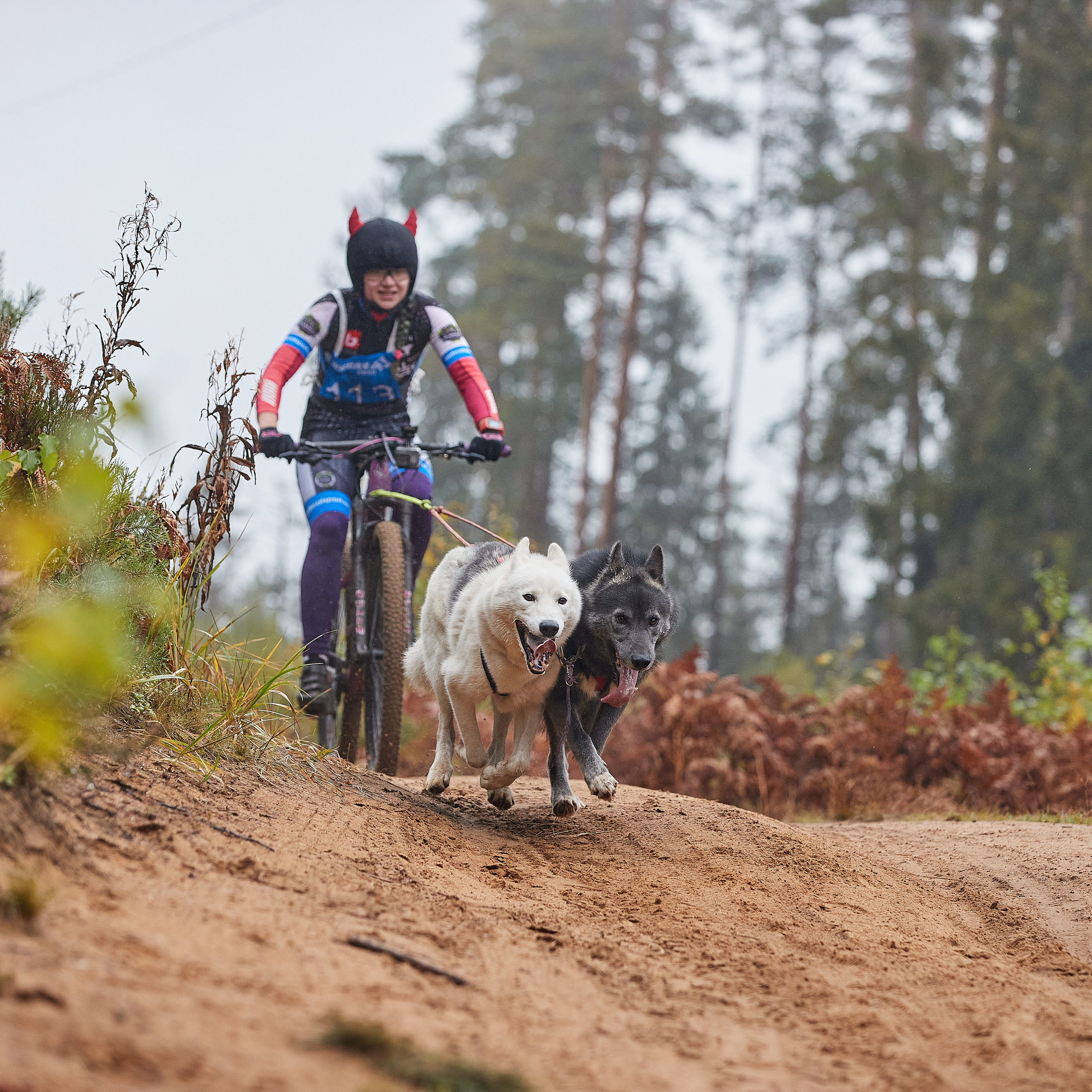 ЧЕМПИОНАТ РОССИИ РКФ 25–26 сентября 2021 г. ФОТОГРАФ-АНИМАЛИСТ l LANA POLYAKOVA