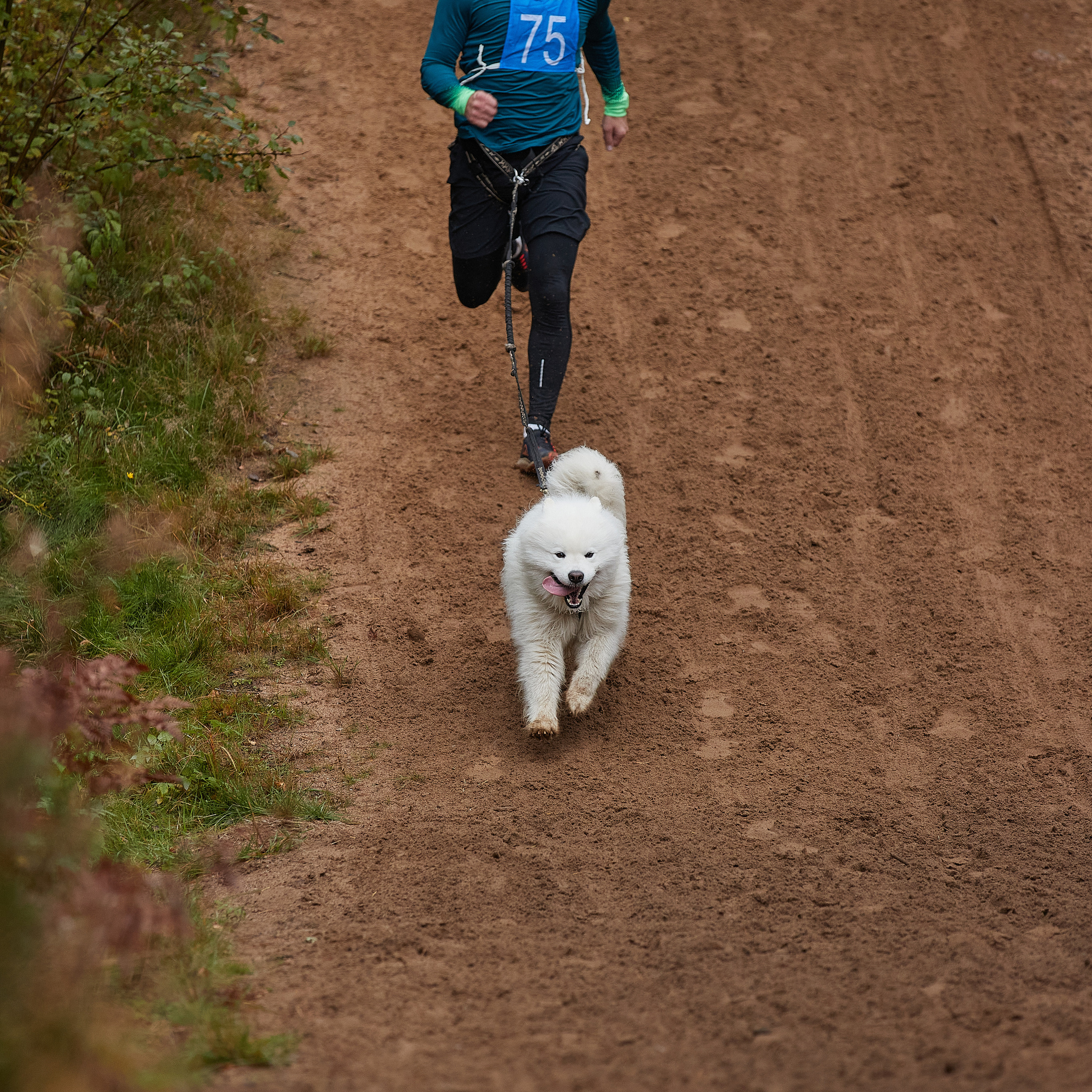 ЧЕМПИОНАТ РОССИИ РКФ 25–26 сентября 2021 г. ФОТОГРАФ-АНИМАЛИСТ l LANA POLYAKOVA